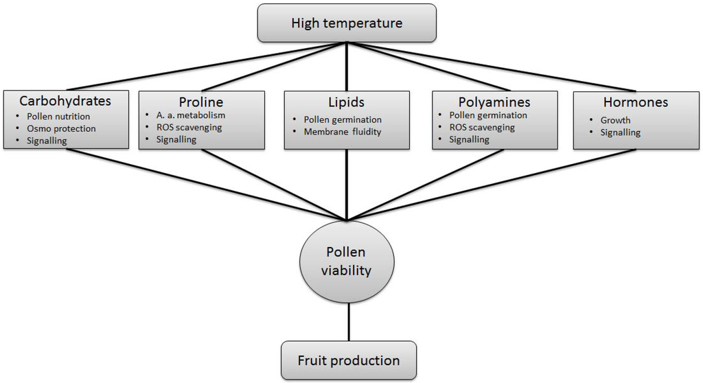 Metabolites 04 00889 g006 1024