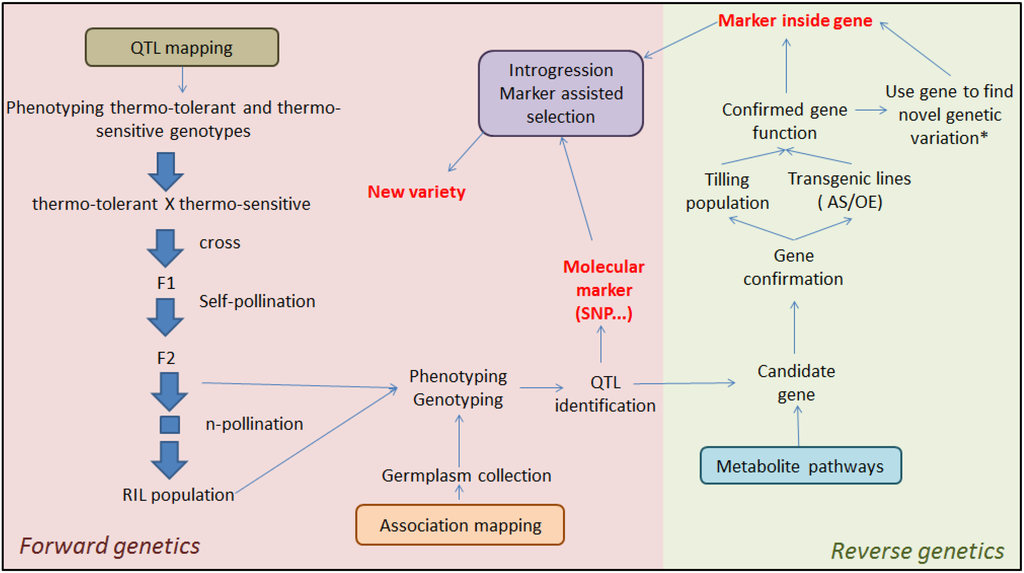 Metabolites 04 00889 g007 1024