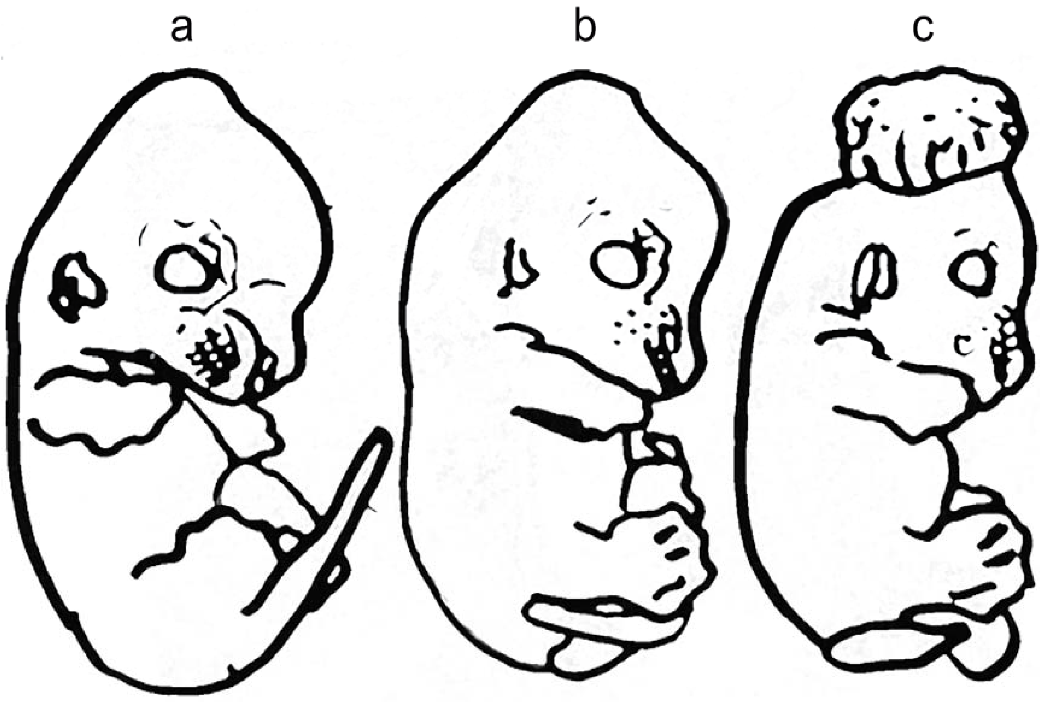Metabolites 05 00164 g001