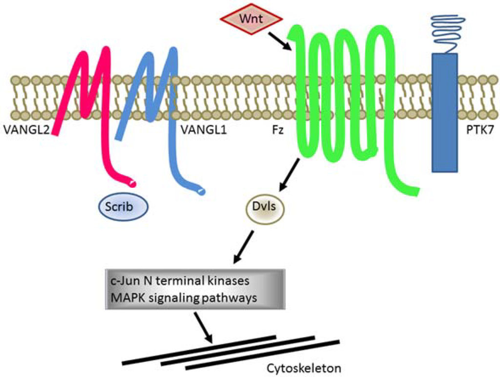 Metabolites 05 00164 g002 1024