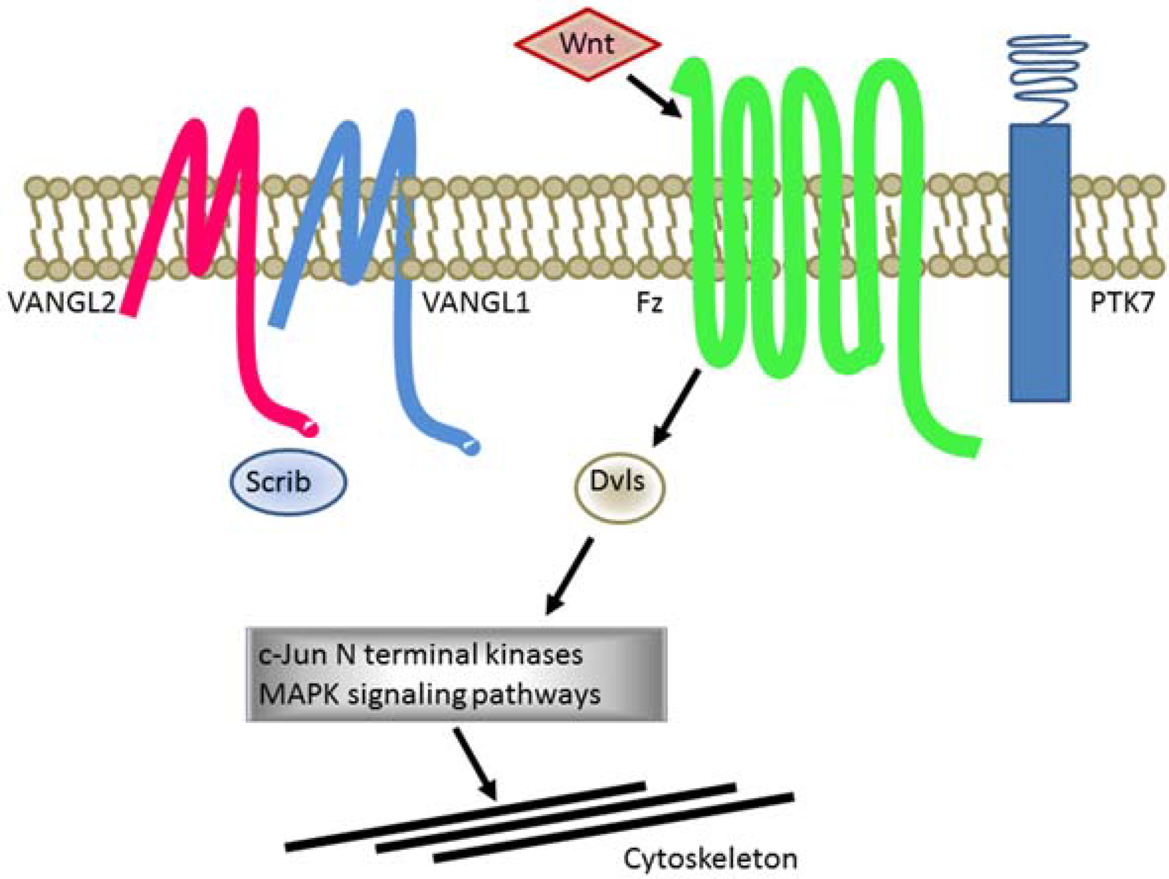 Metabolites 05 00164 g002