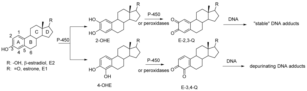Metabolites 05 00475 g001 1024