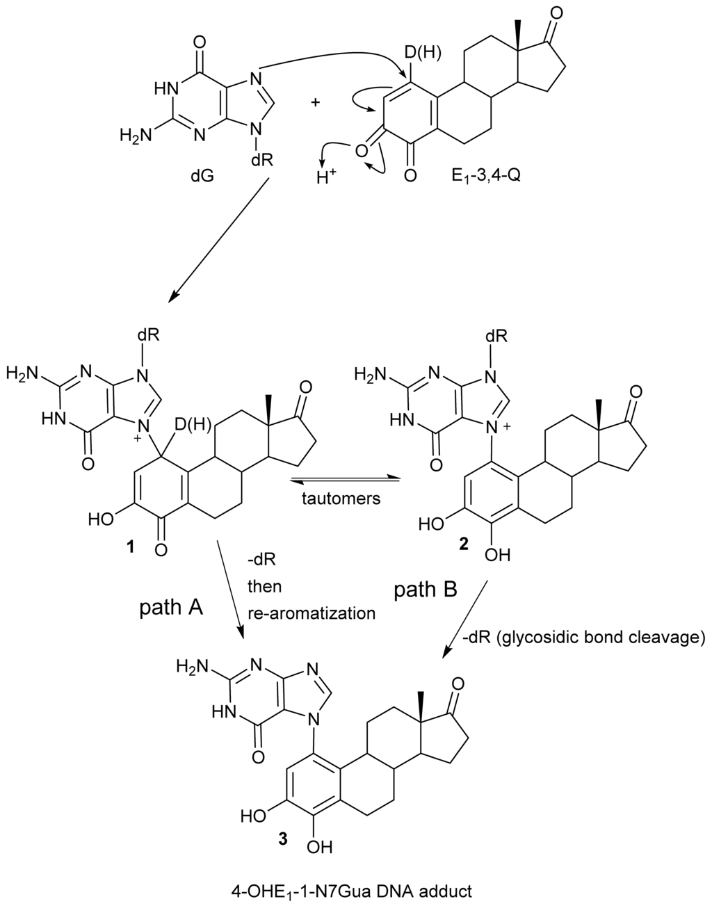 Metabolites 05 00475 g002 1024