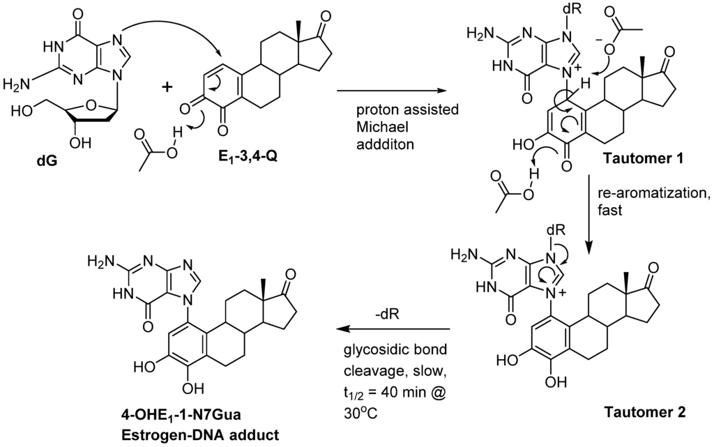 Metabolites 05 00475 g008 1024