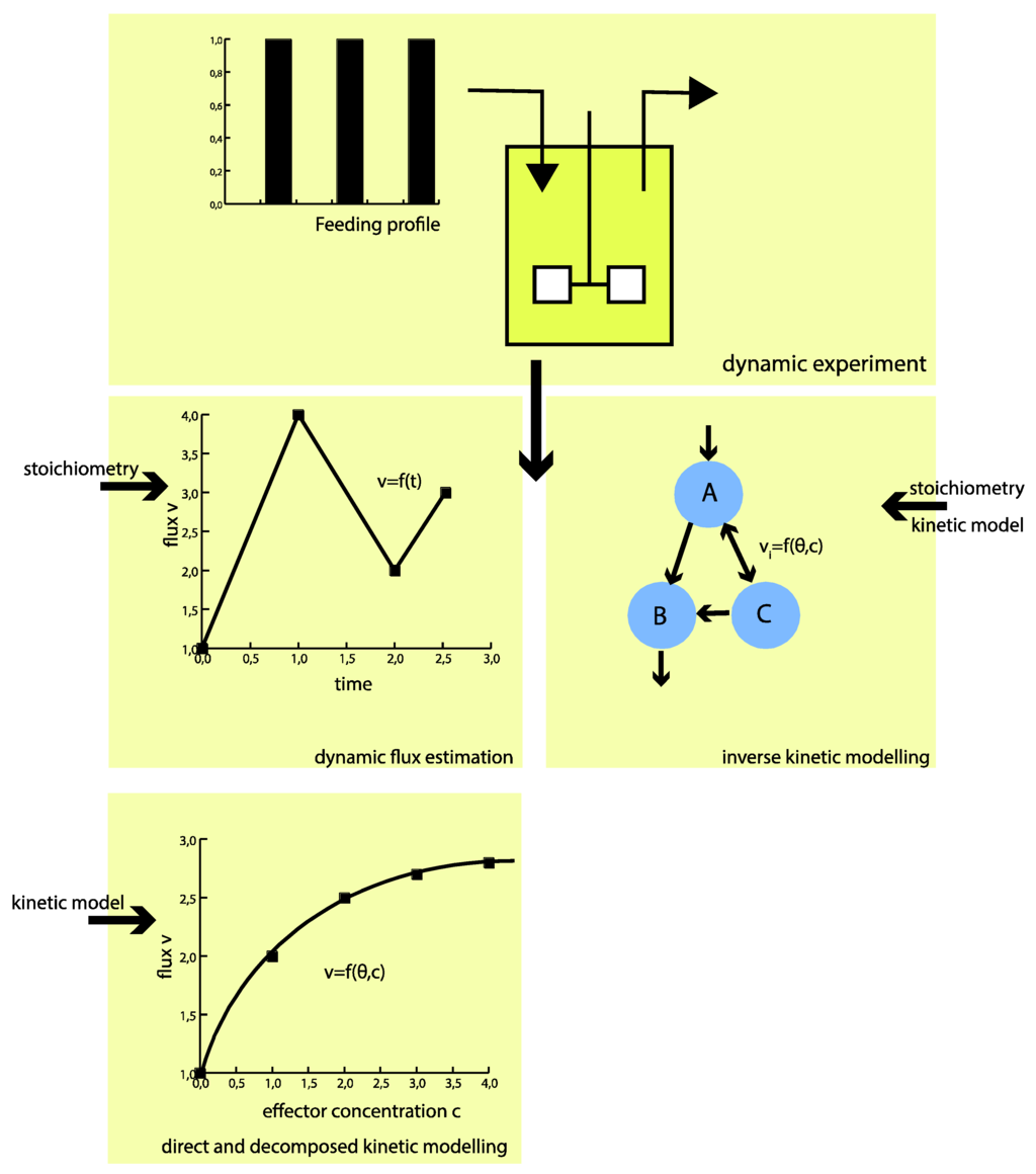 Metabolites 05 00697 g001 1024