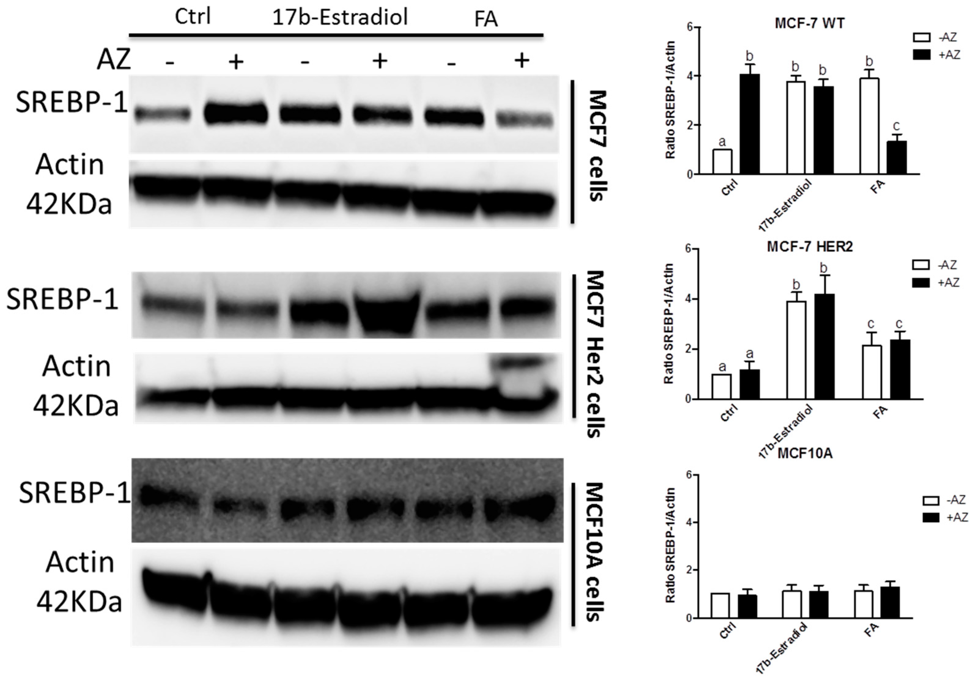 Metabolites 06 00016 g009