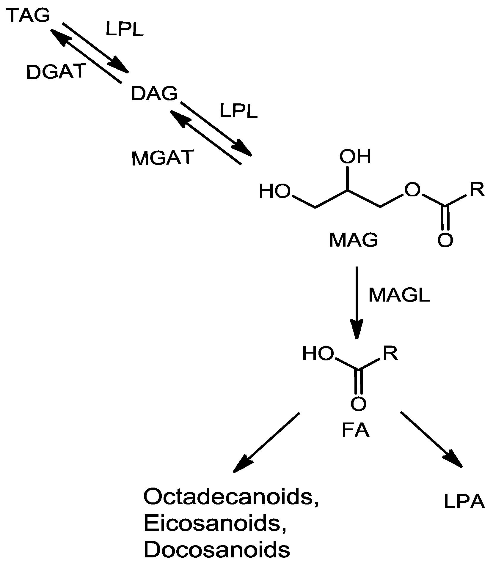Metabolites 06 00025 g001