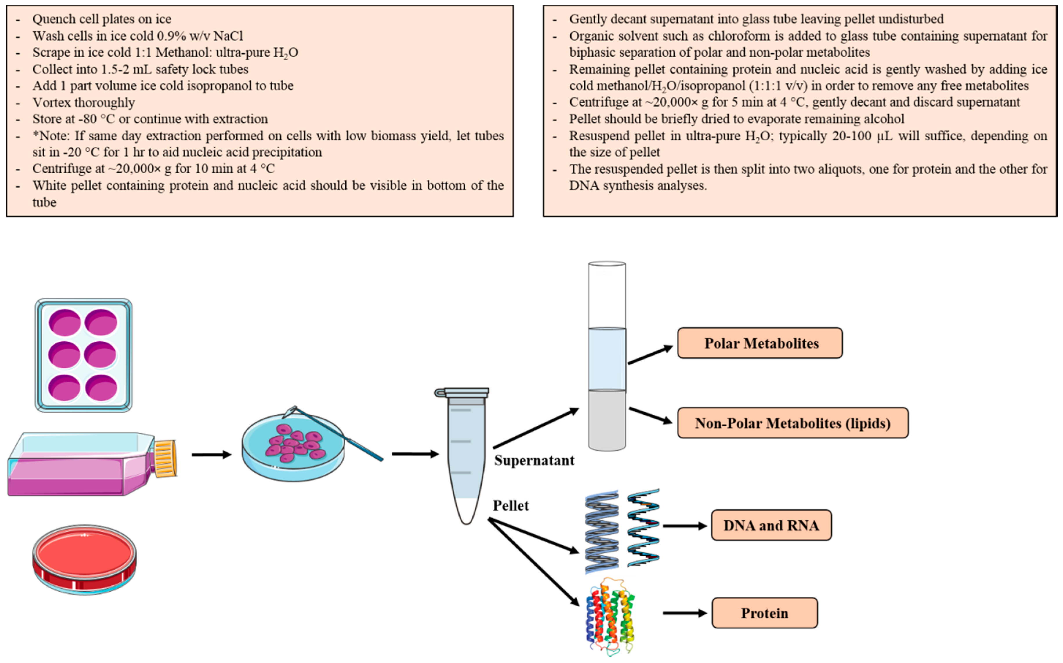 Metabolites 06 00034 g001