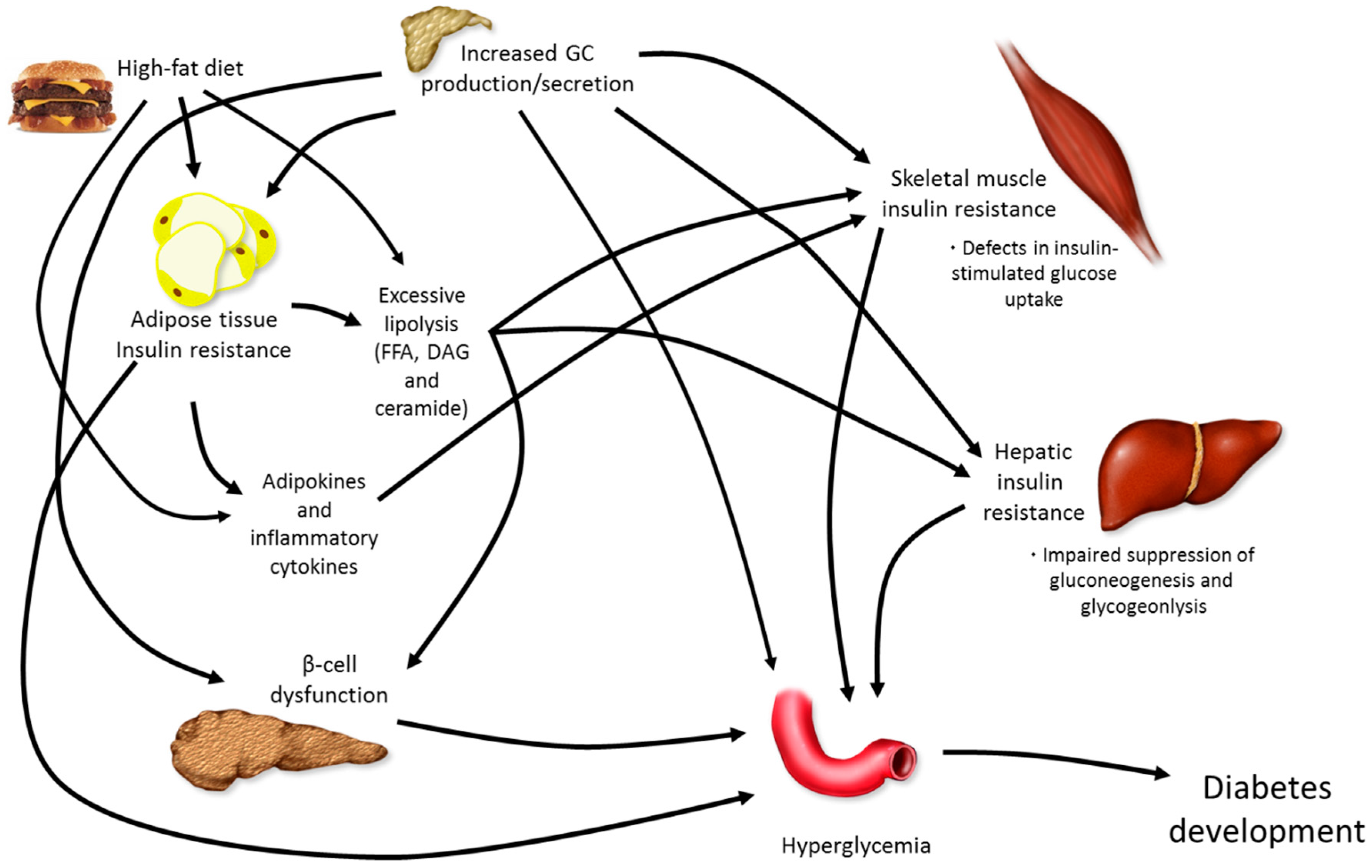 Metabolites 06 00044 g001