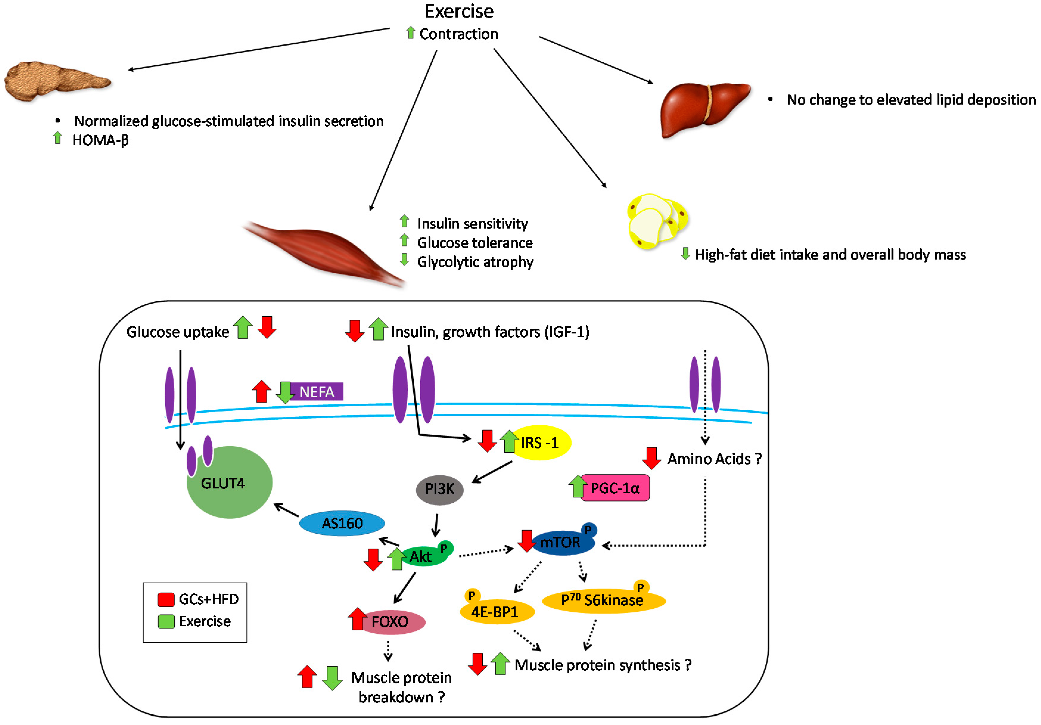 Metabolites 06 00044 g003
