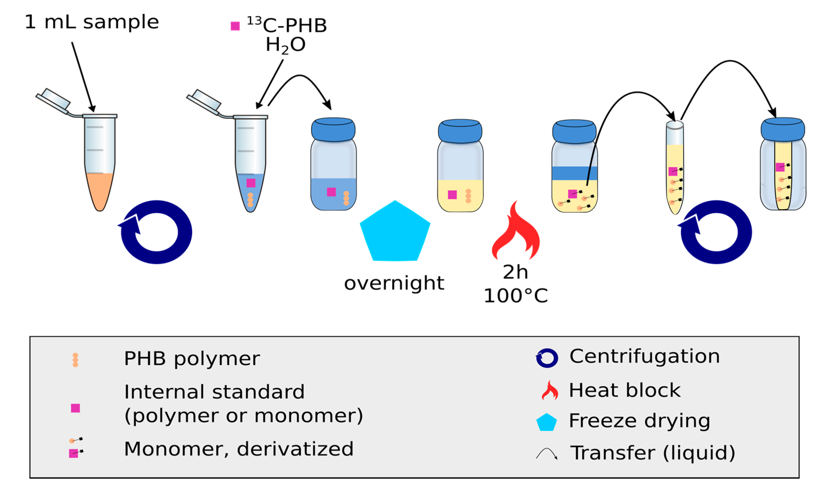 Metabolites 07 00019 g001