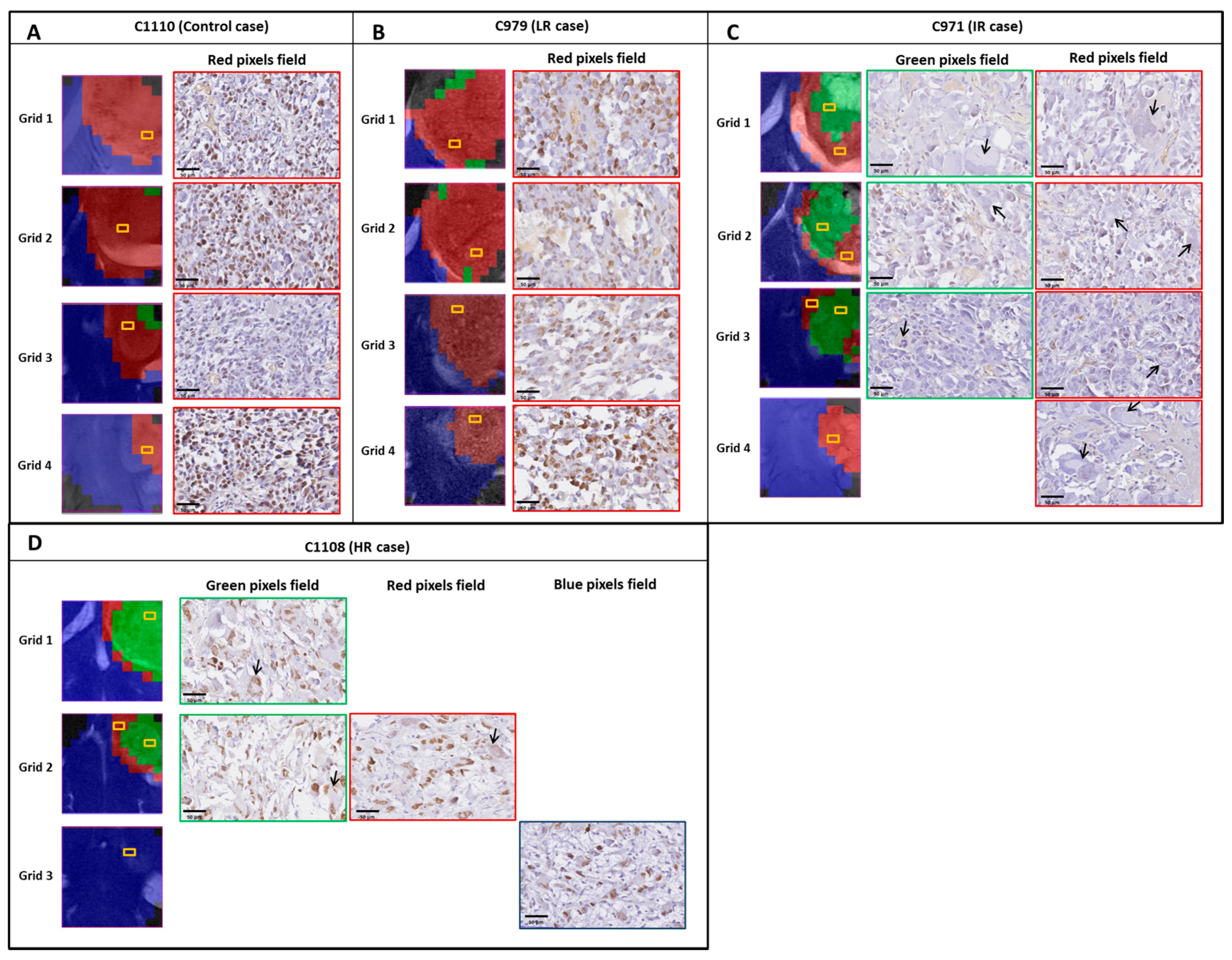 Metabolites 07 00020 g006