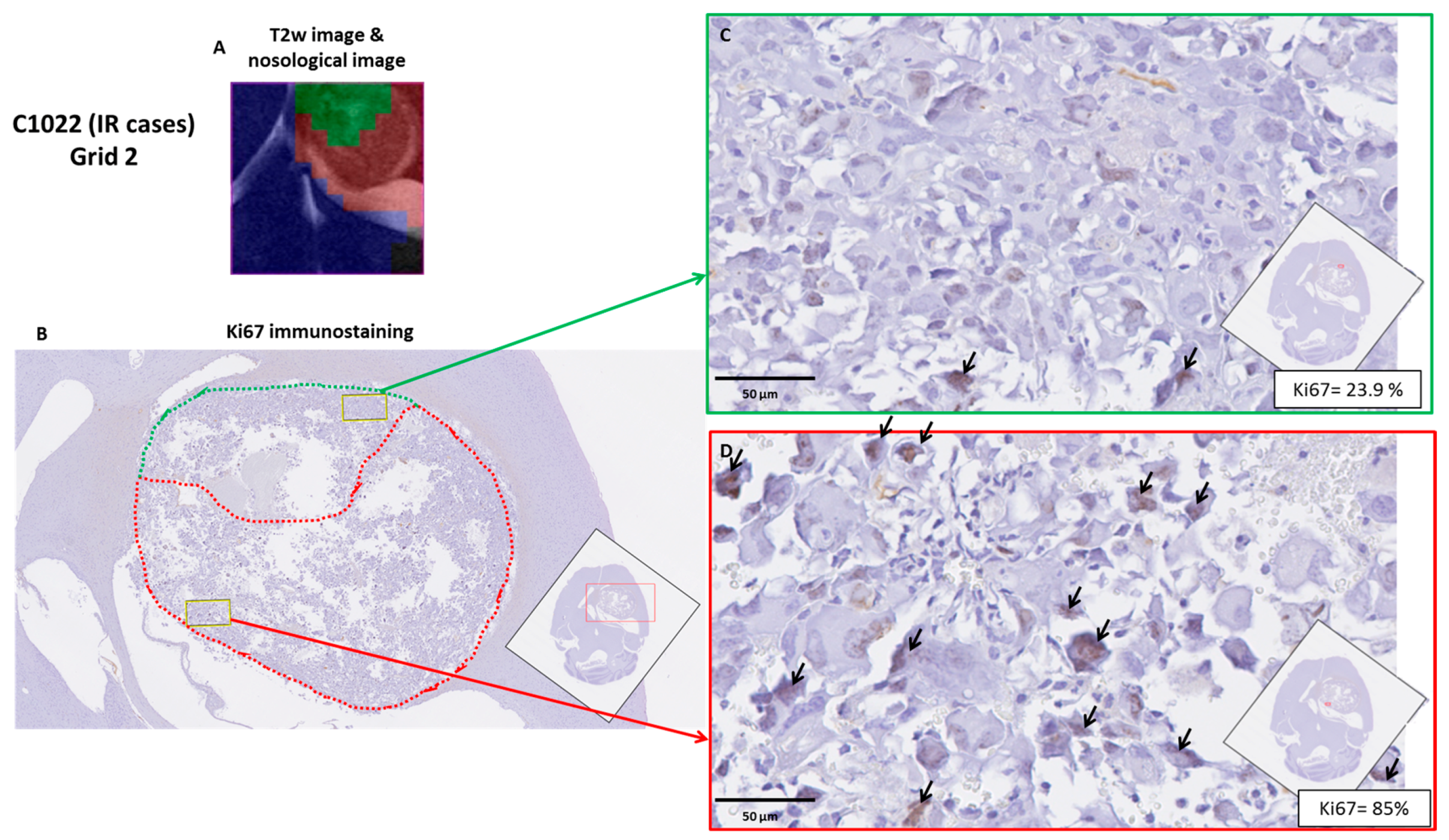 Metabolites 07 00020 g008
