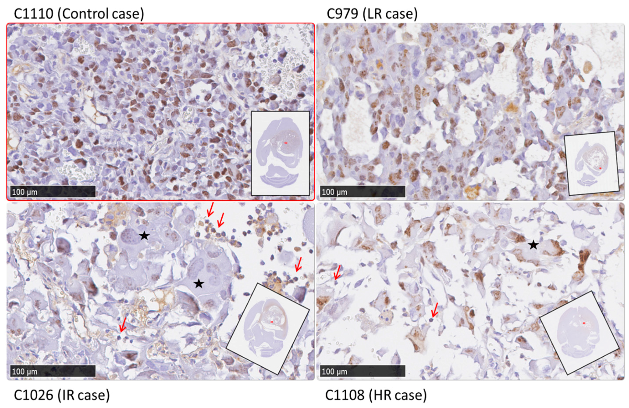 Metabolites 07 00020 g010