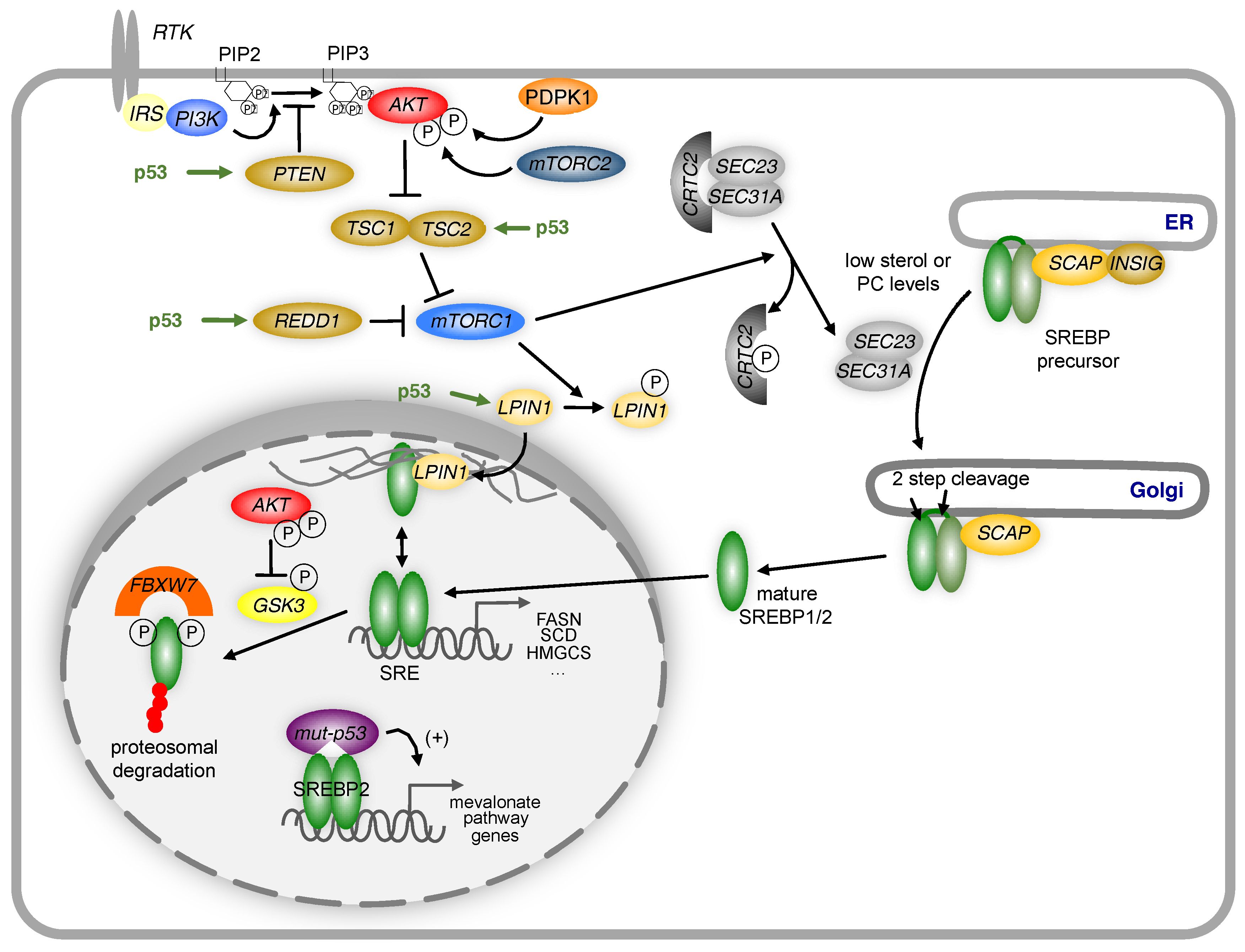 Metabolites 07 00021 g003
