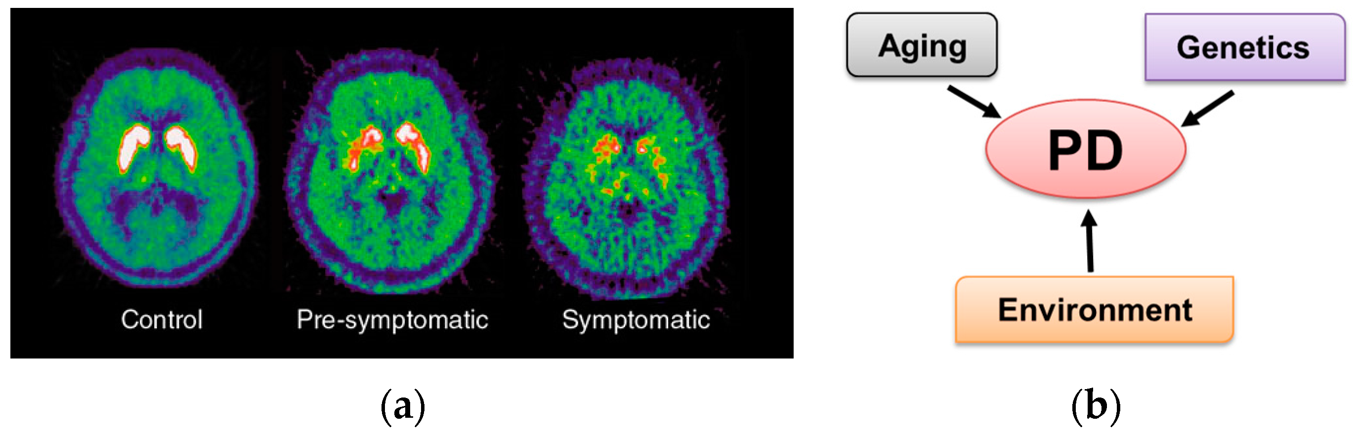 Metabolites 07 00022 g001