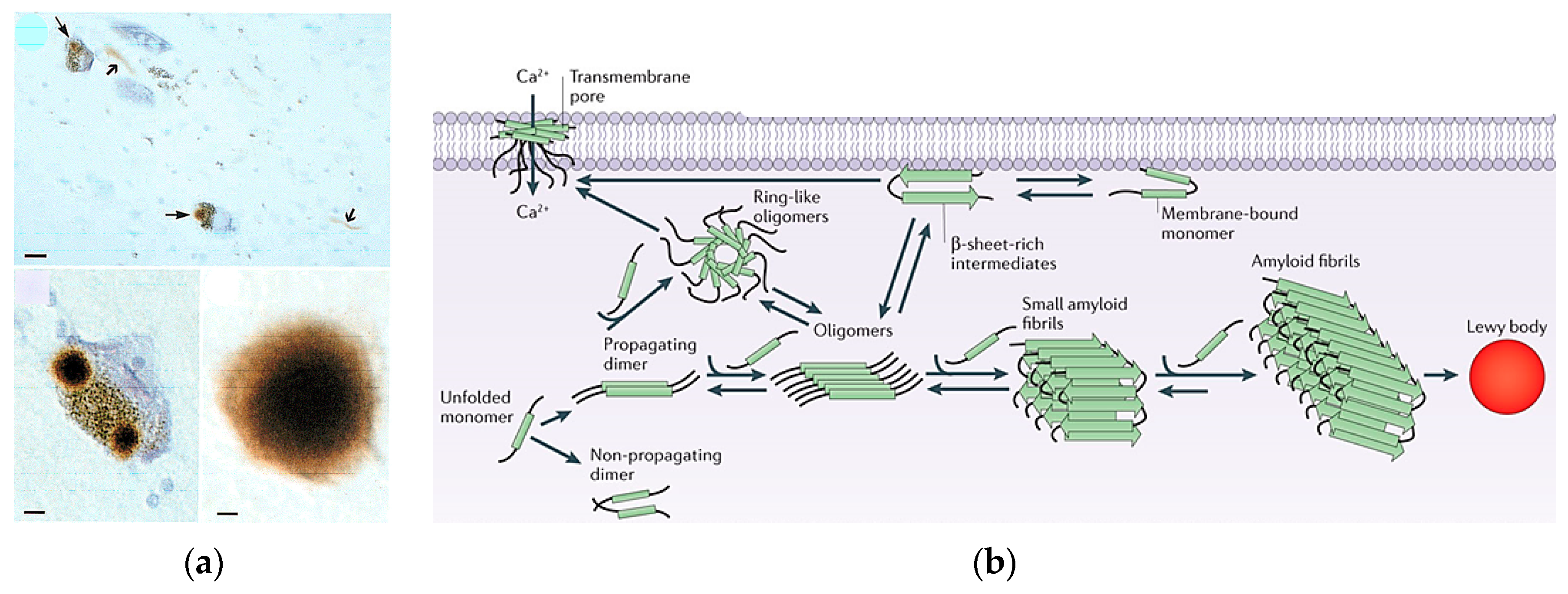 Metabolites 07 00022 g002