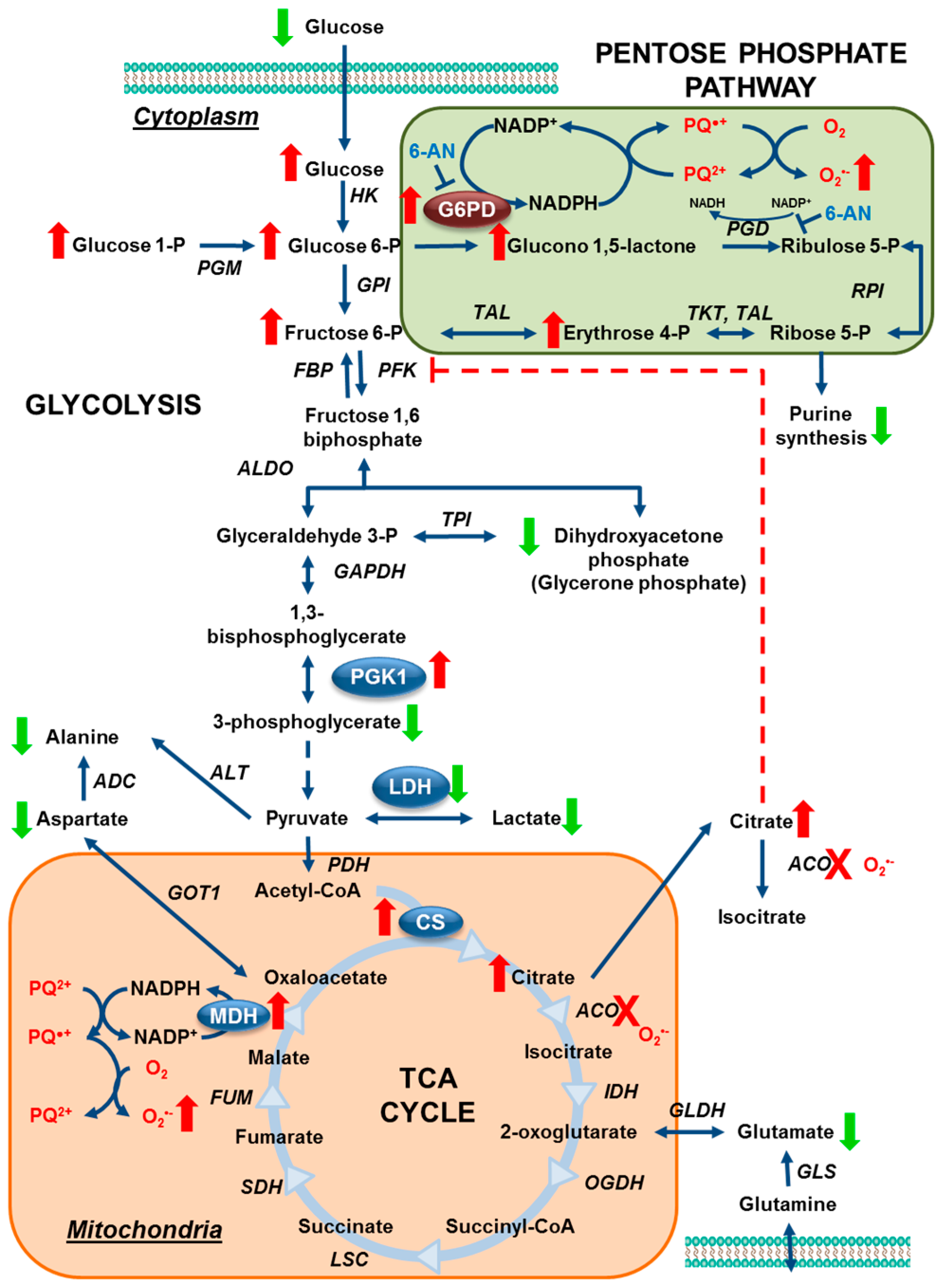 Metabolites 07 00022 g009