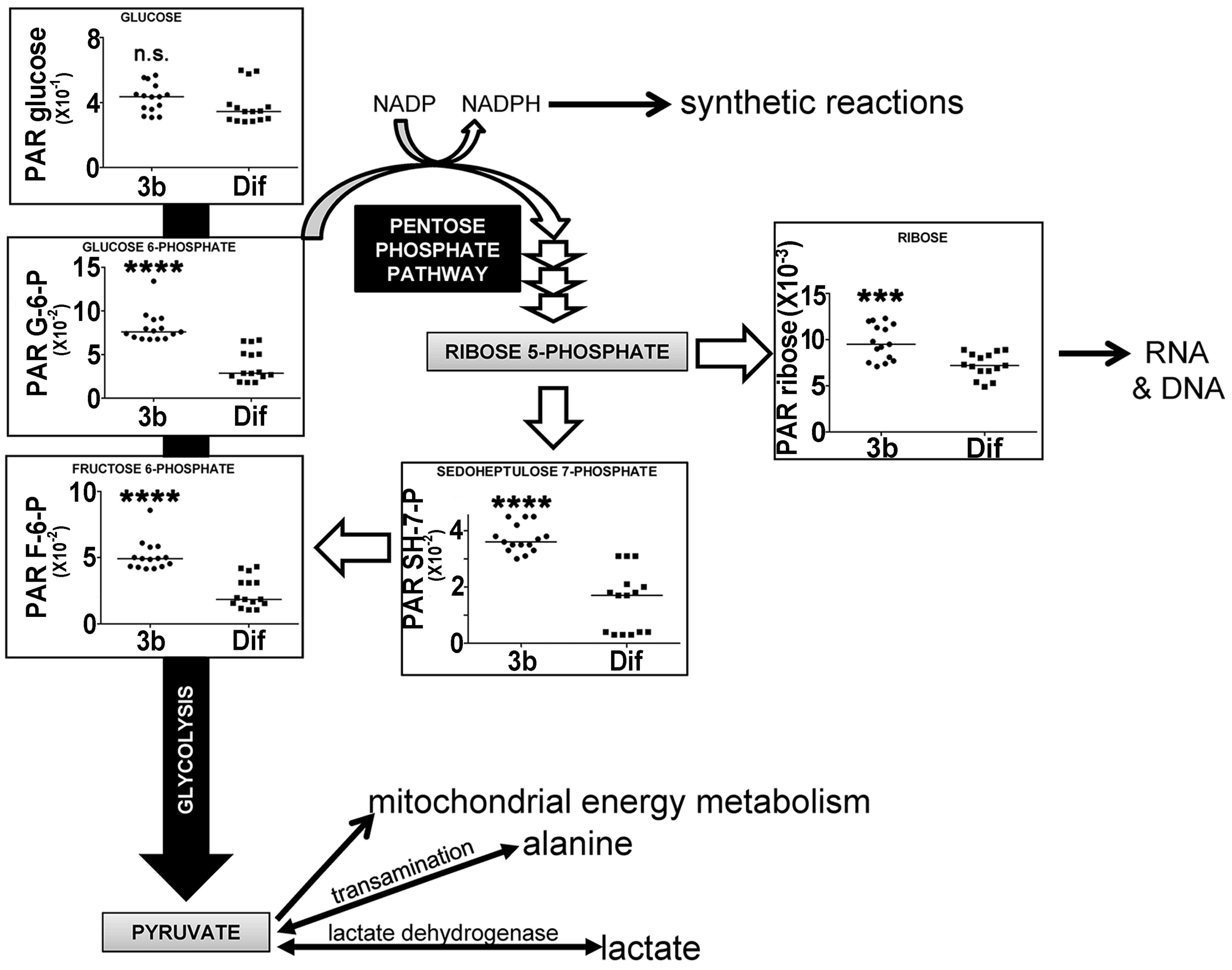 Metabolites 07 00023 g007