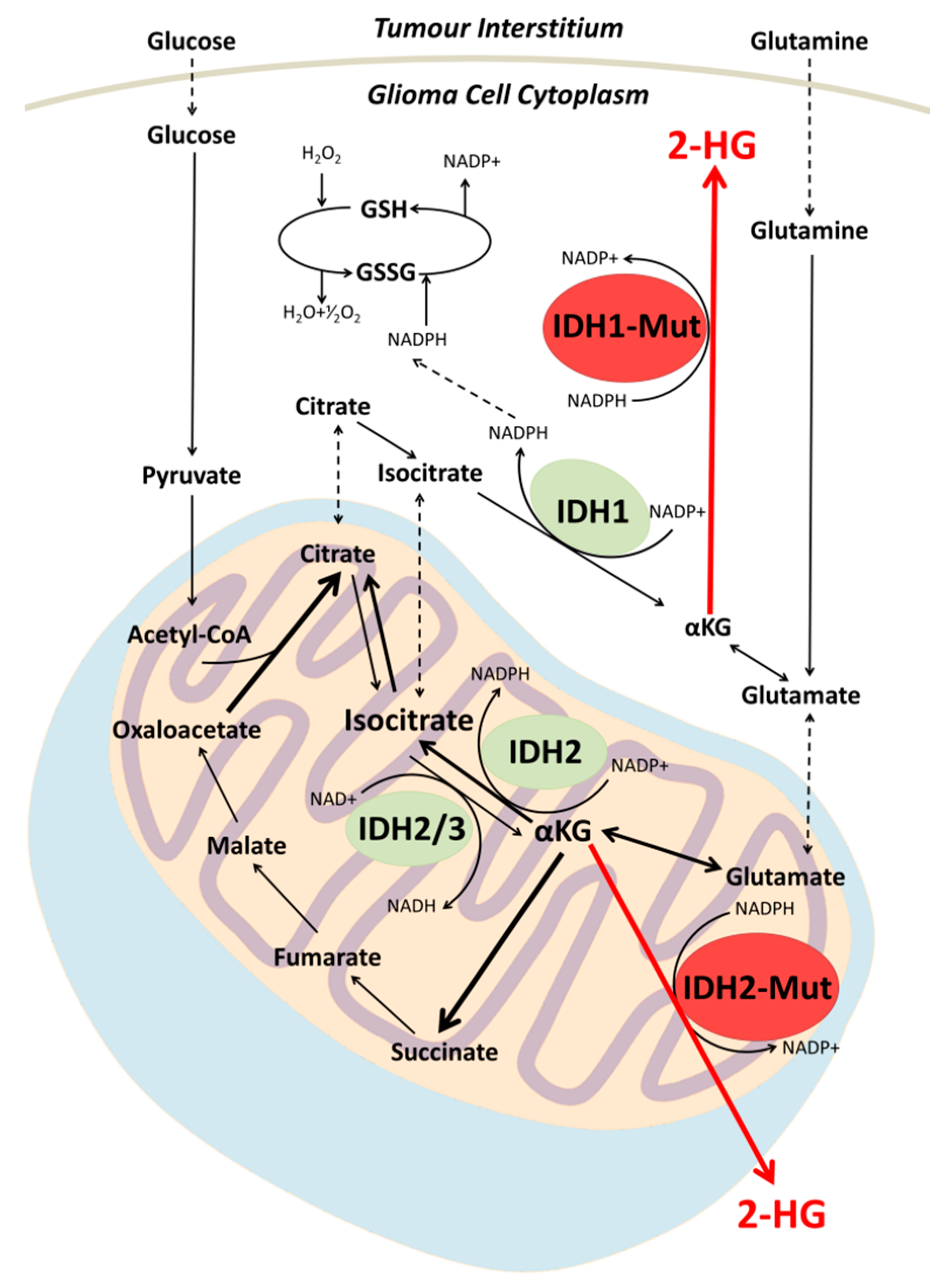 Metabolites 07 00029 g001