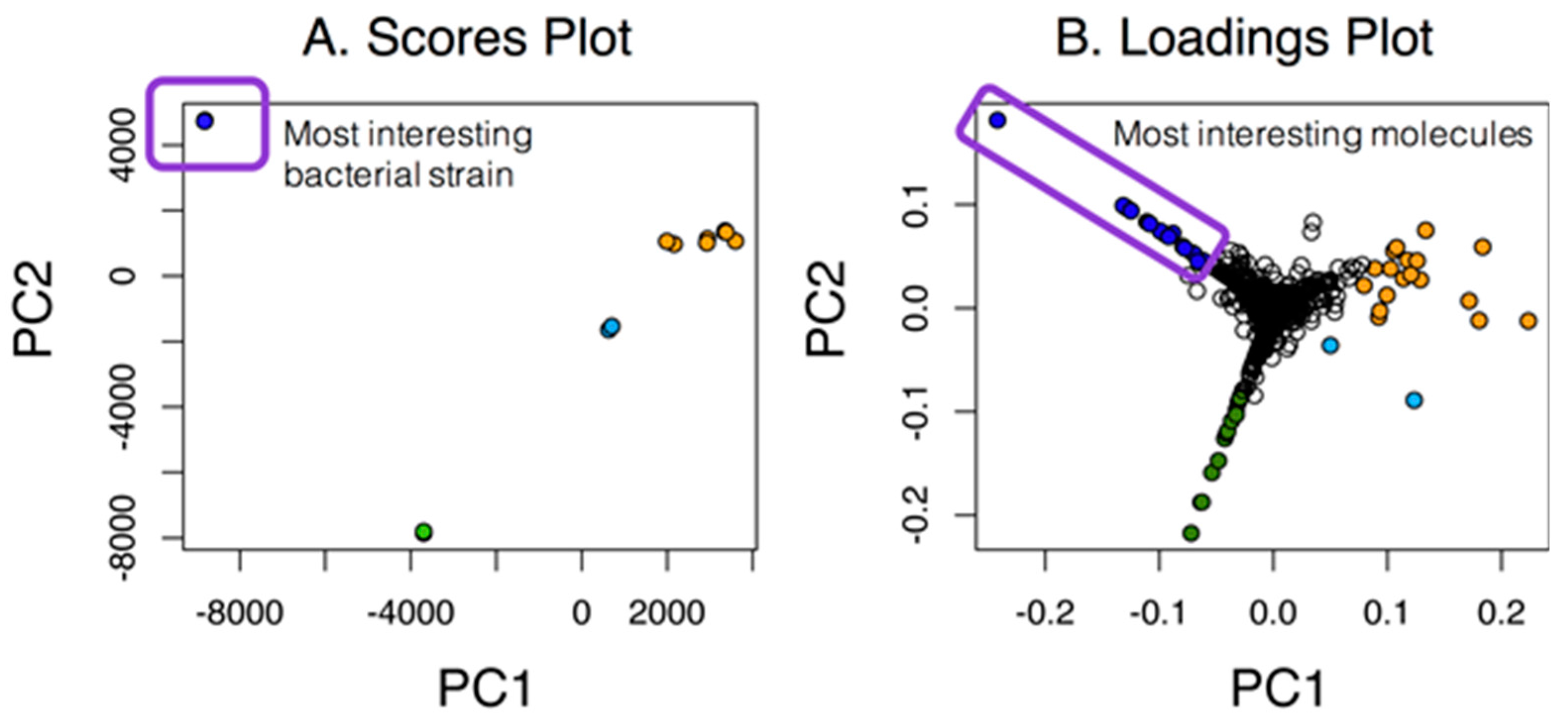 Metabolites 07 00034 g001