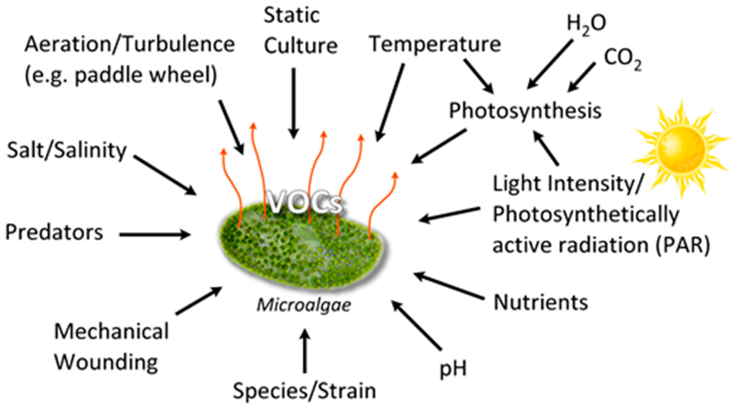 Metabolites 07 00039 g002