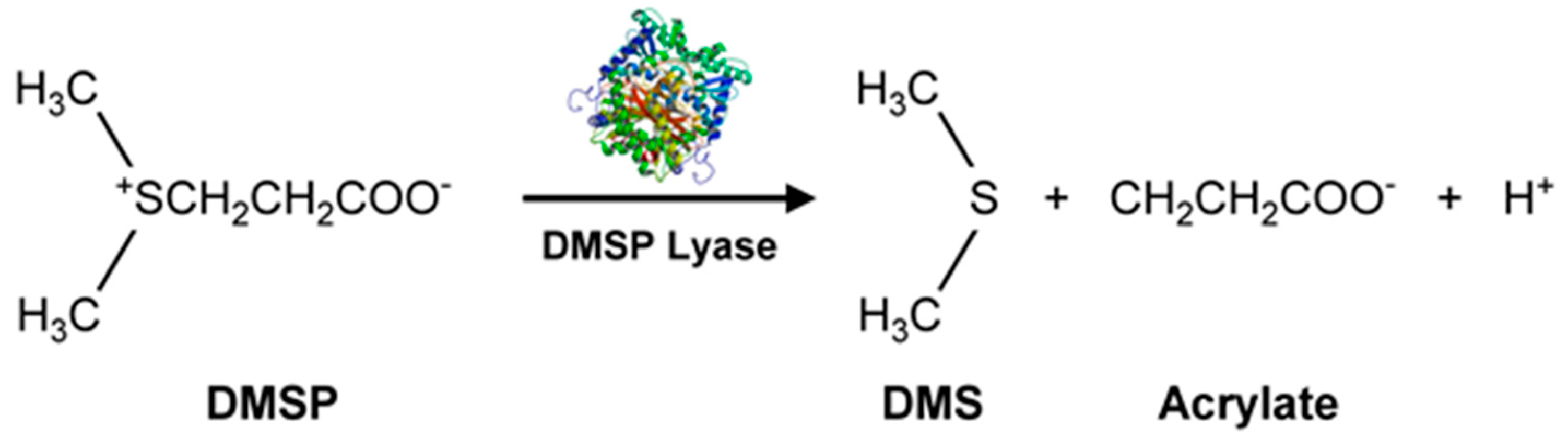 Metabolites 07 00039 g005