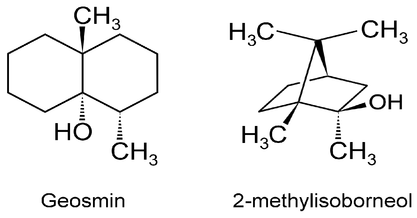 Metabolites 07 00039 g007