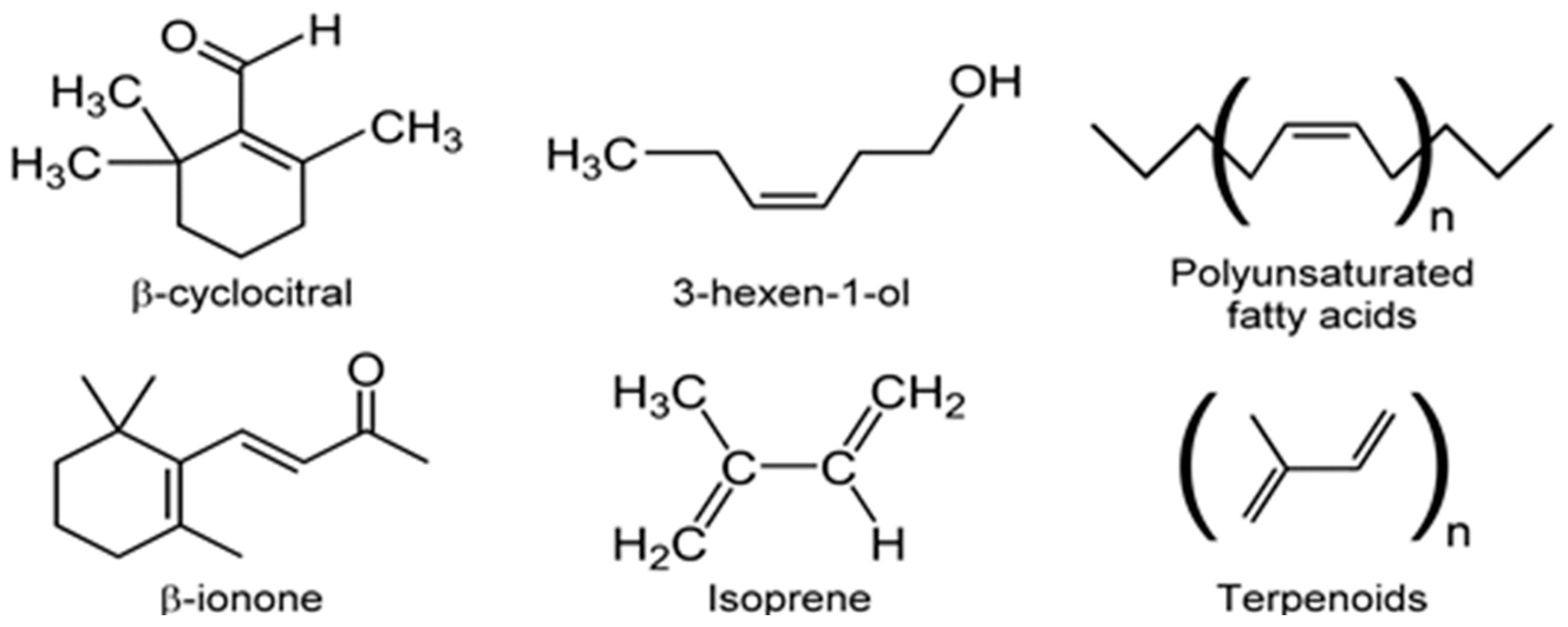 Metabolites 07 00039 g011