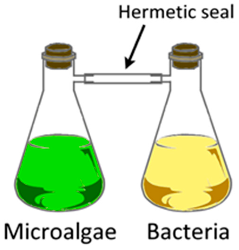 Metabolites 07 00039 g013