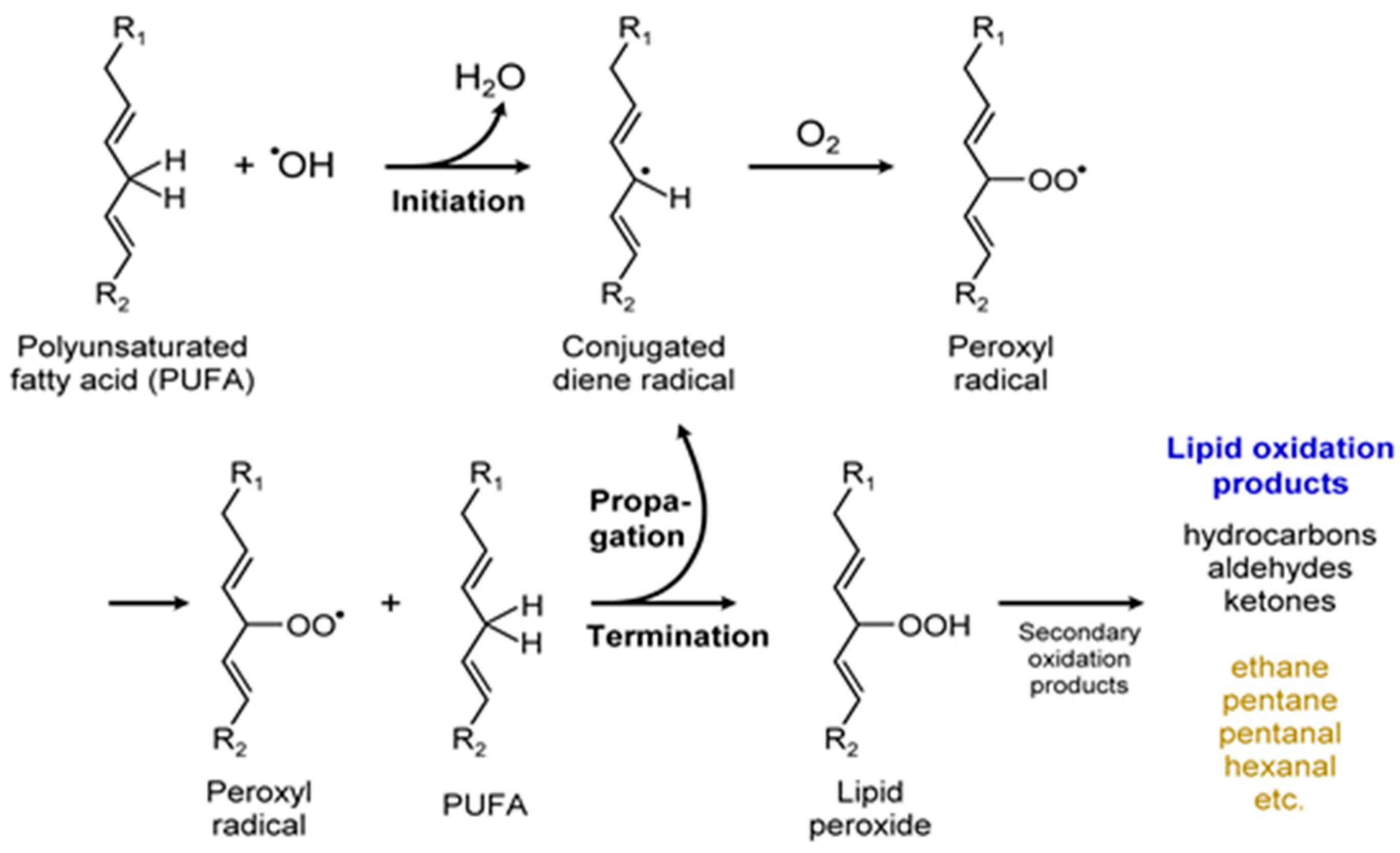 Metabolites 07 00039 g014
