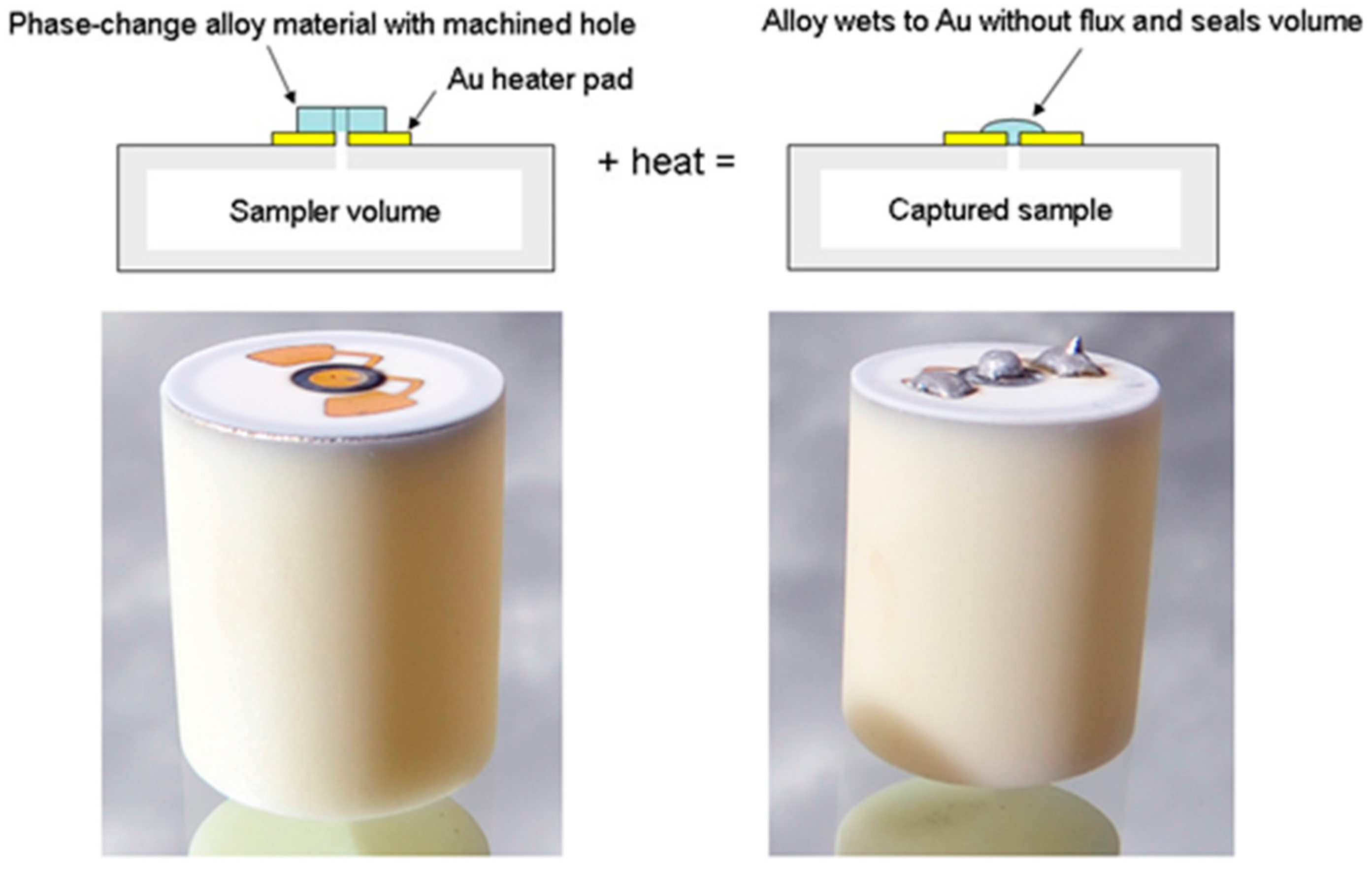 Metabolites 07 00039 g019