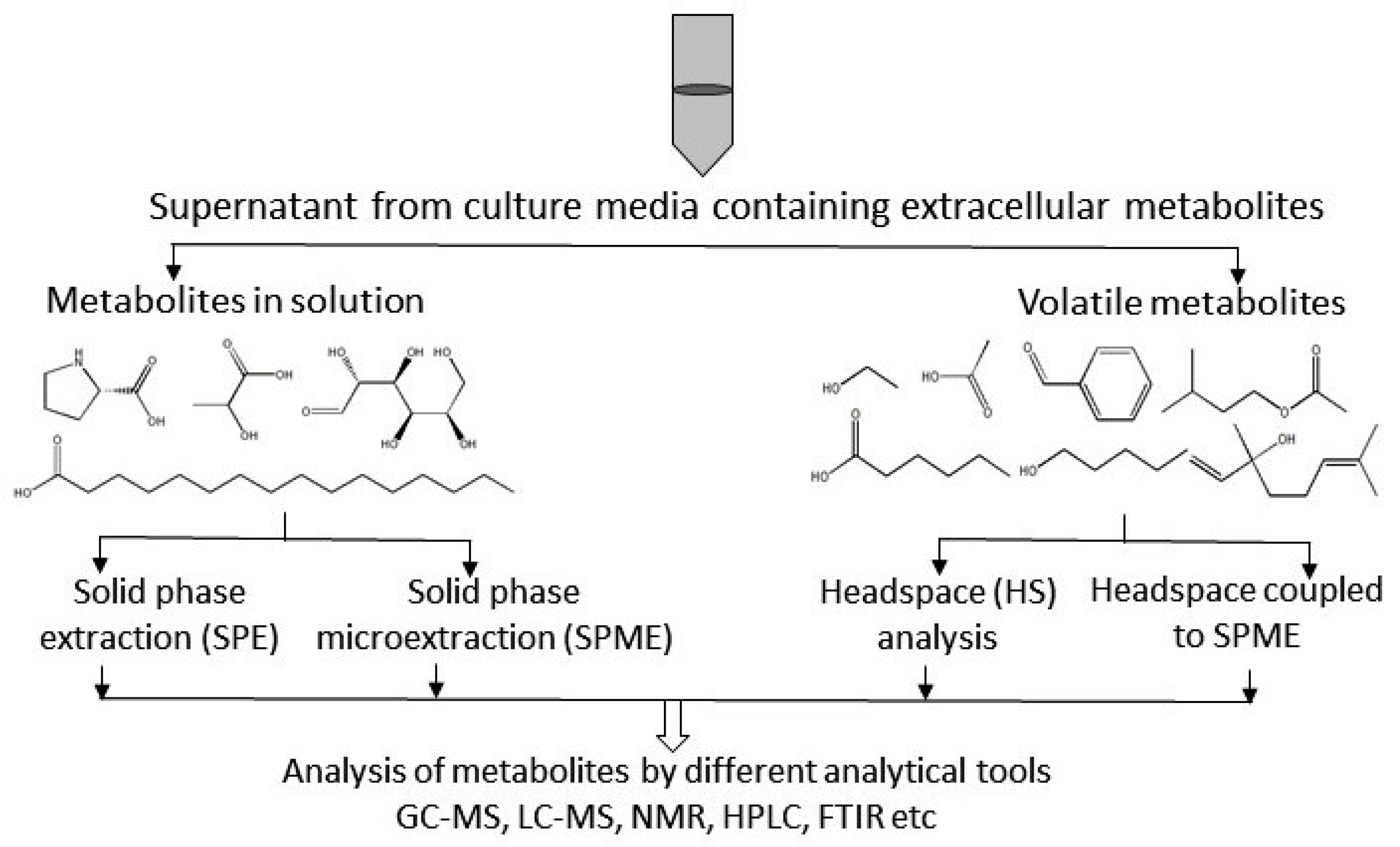 Metabolites 07 00043 g003