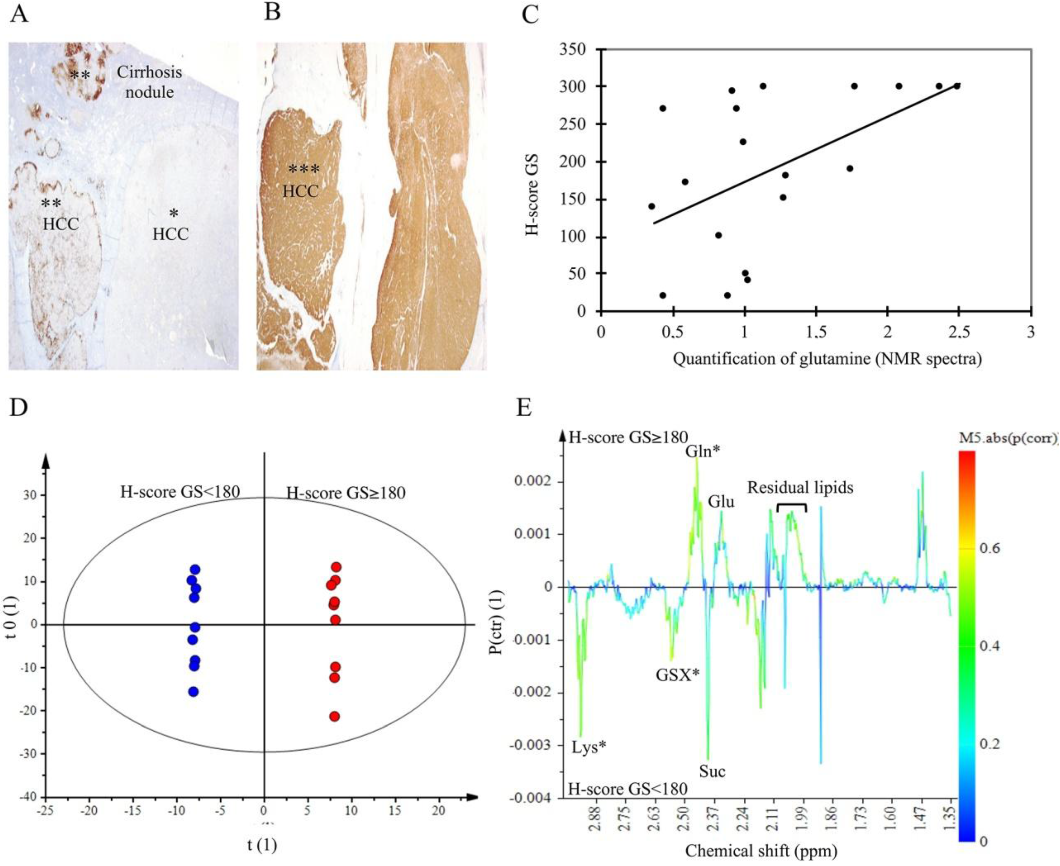 Metabolites 07 00049 g006