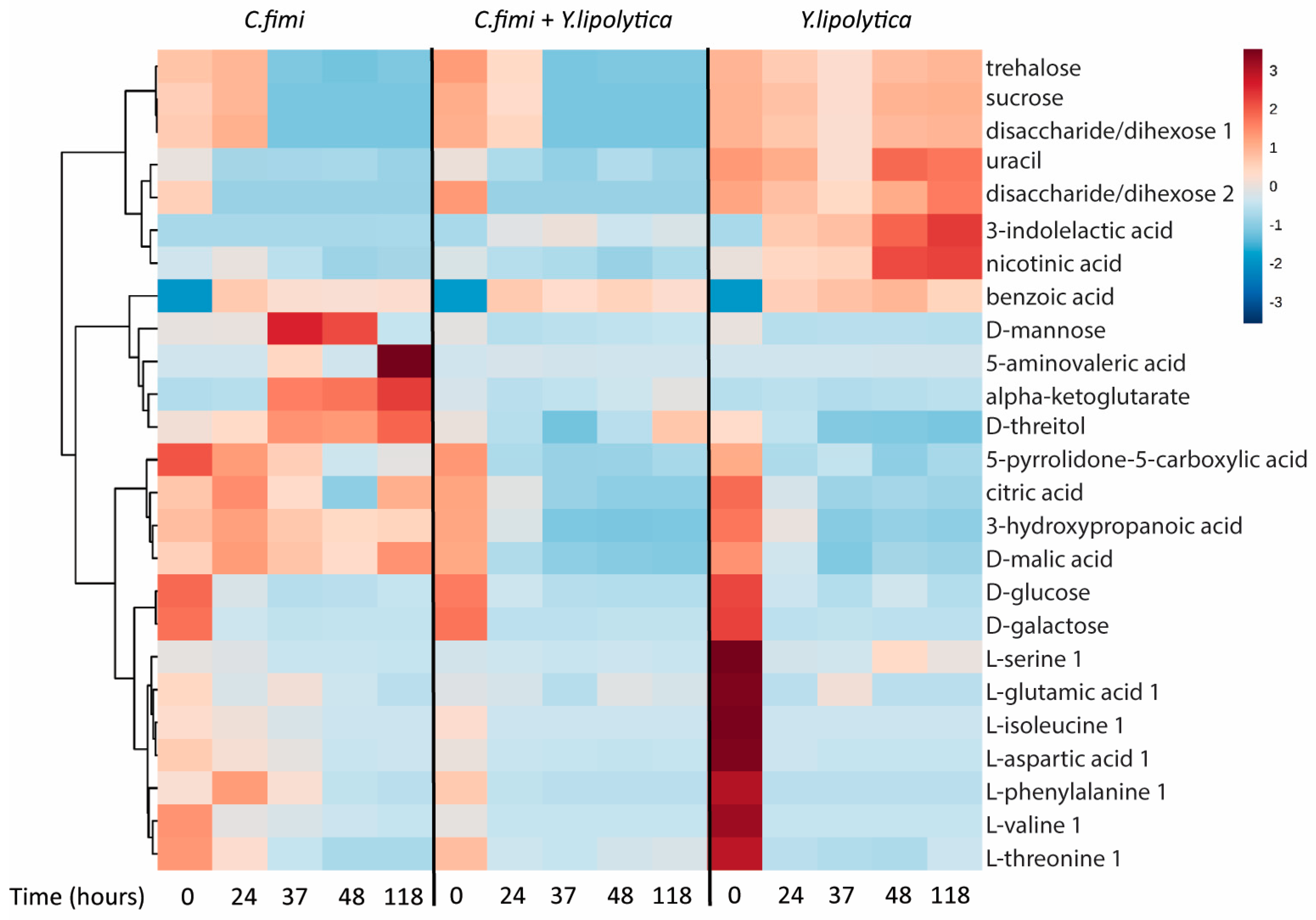 Metabolites 07 00050 g005