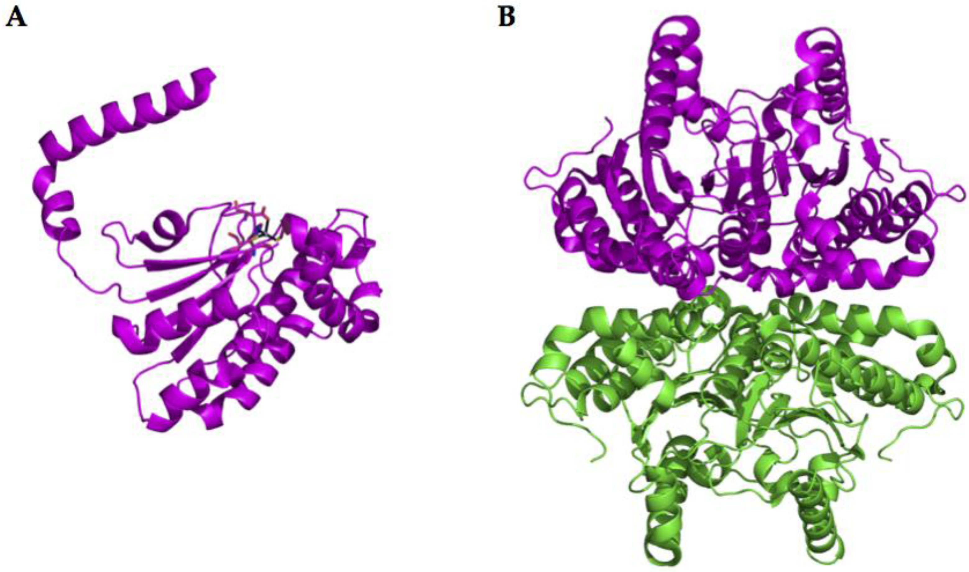 Metabolites 07 00056 g005