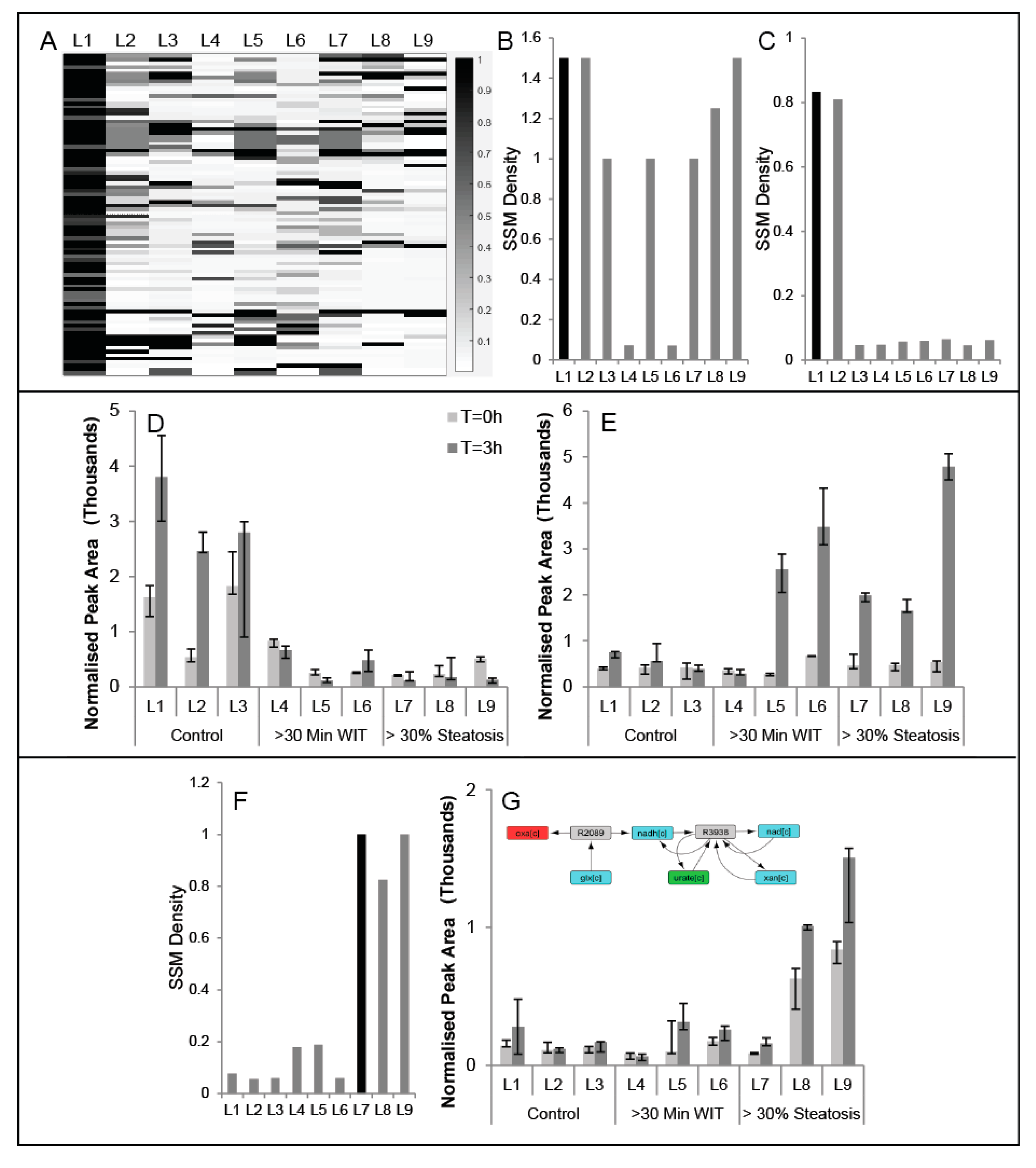 Metabolites 07 00058 g004 Metabolites 07 00058 g004