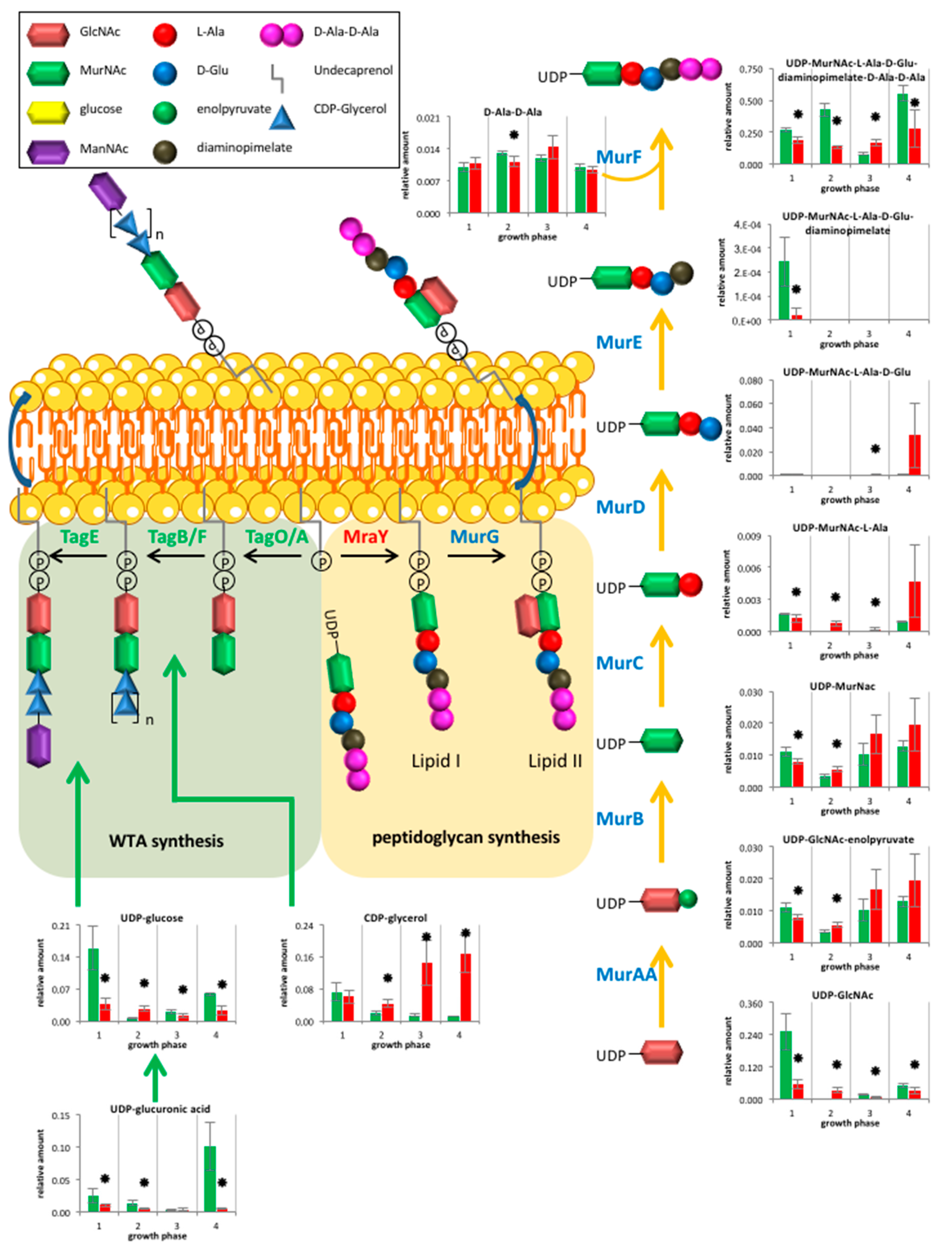 Metabolites 07 00063 g004