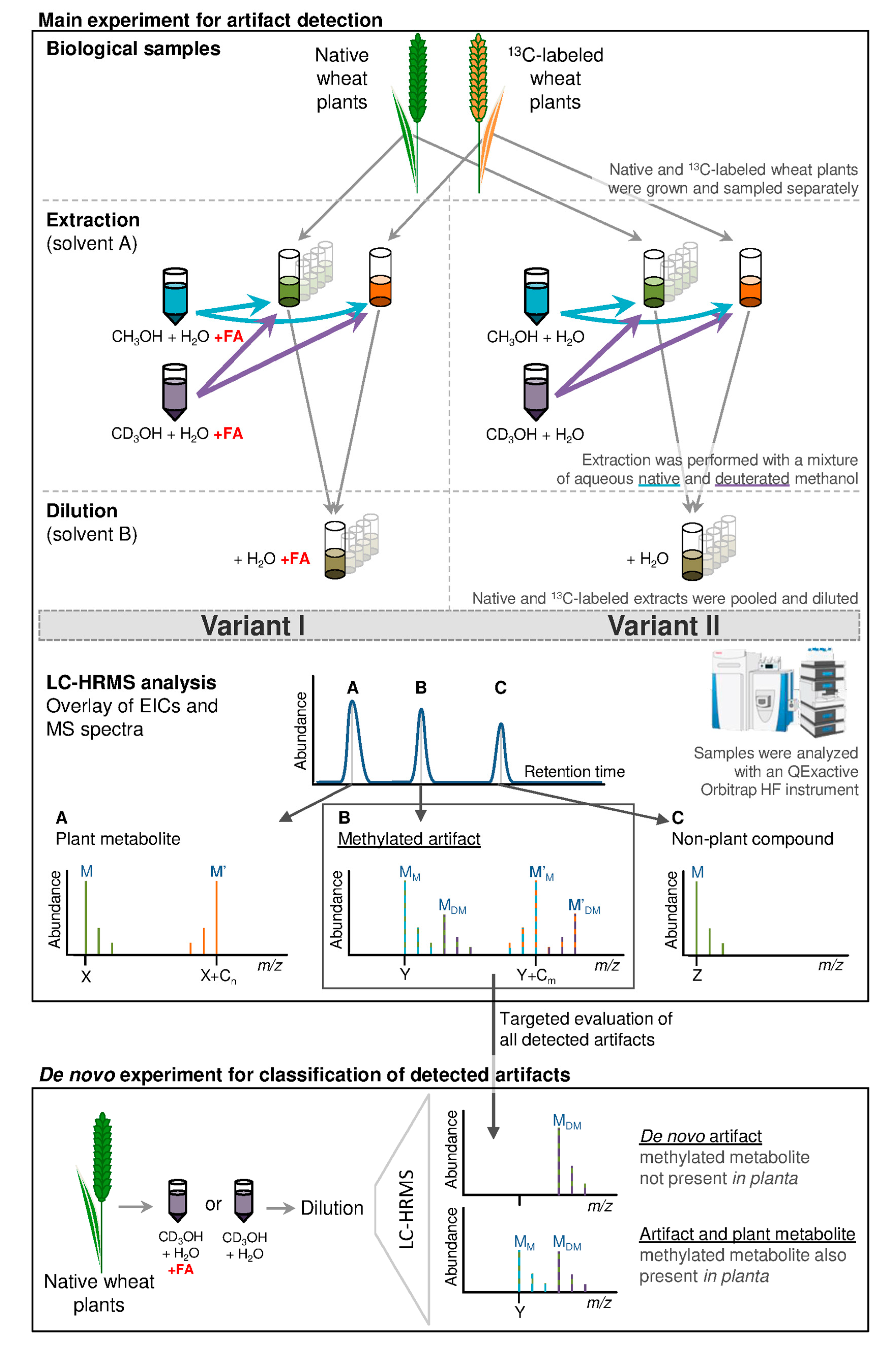 Metabolites 08 00001 g001
