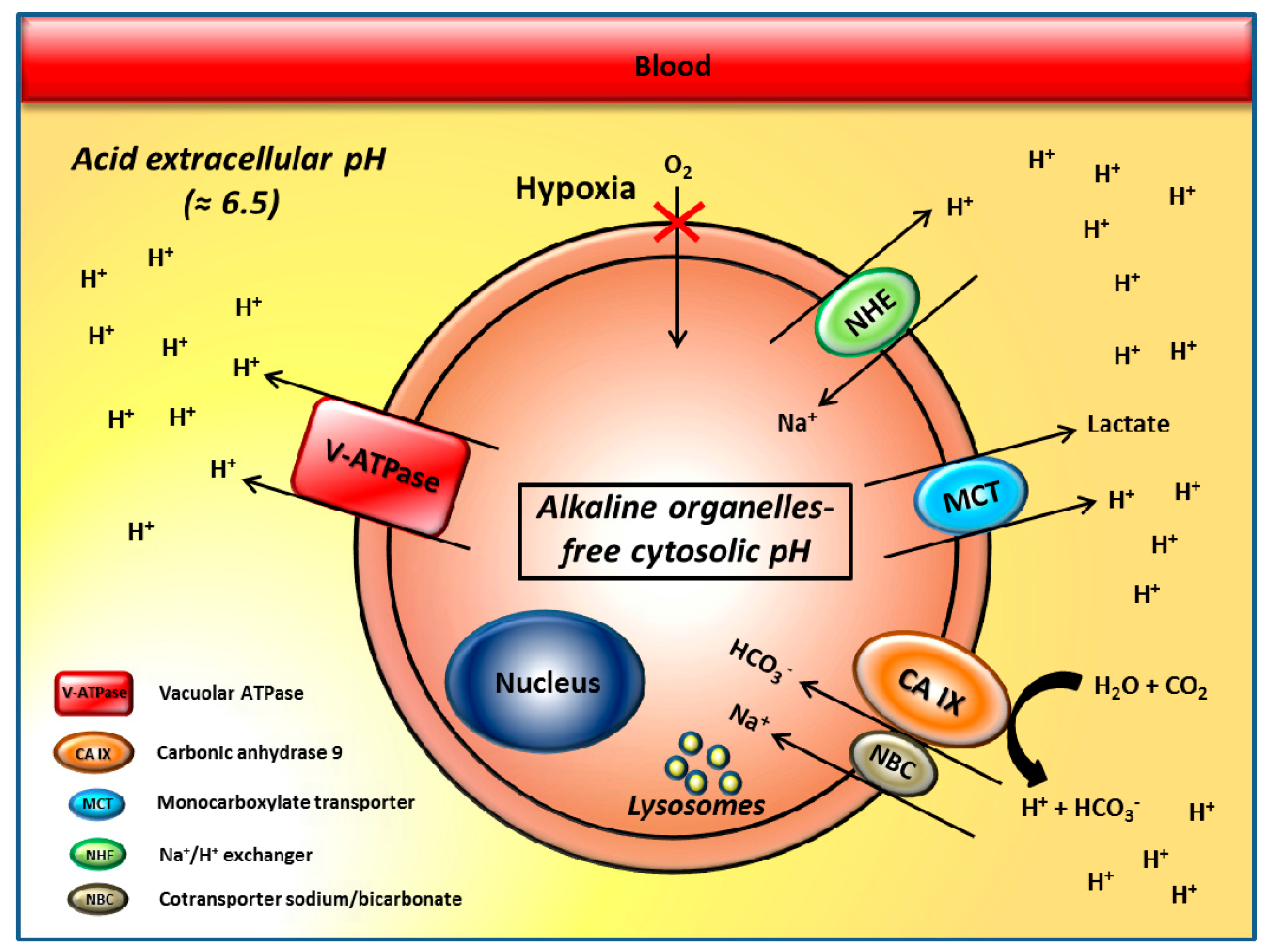 Metabolites 08 00002 g001