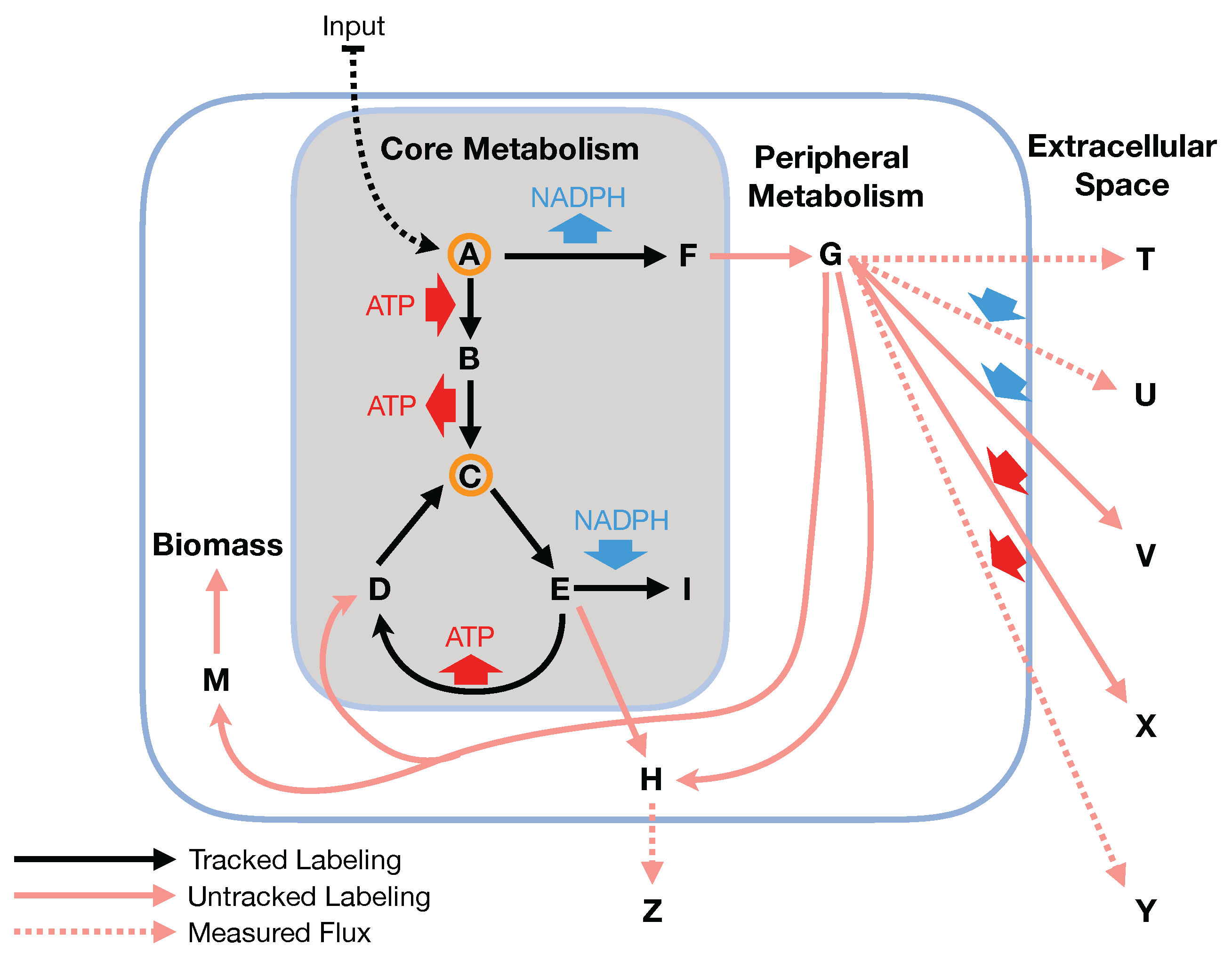 Metabolites 08 00003 g002