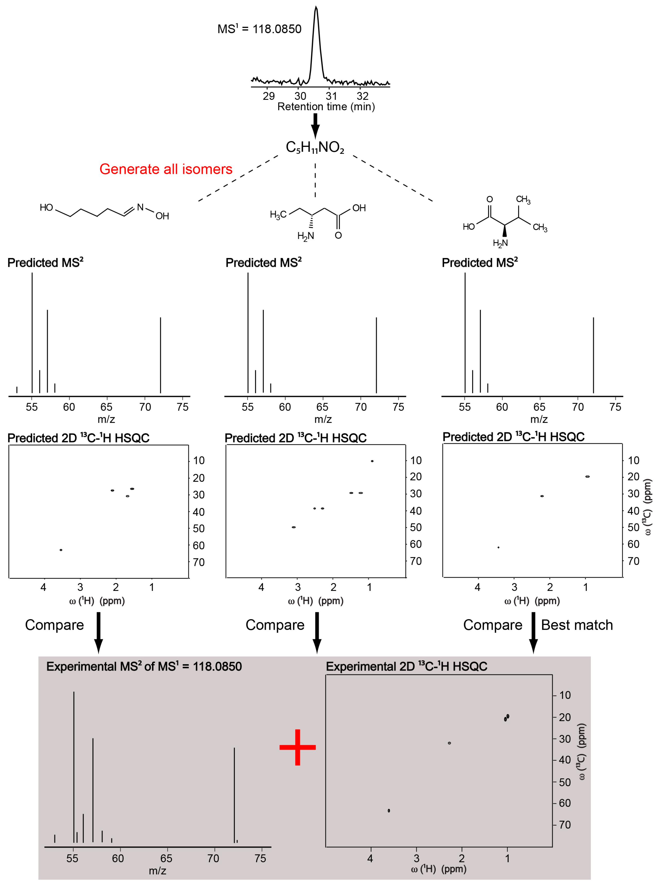 Metabolites 08 00008 g001