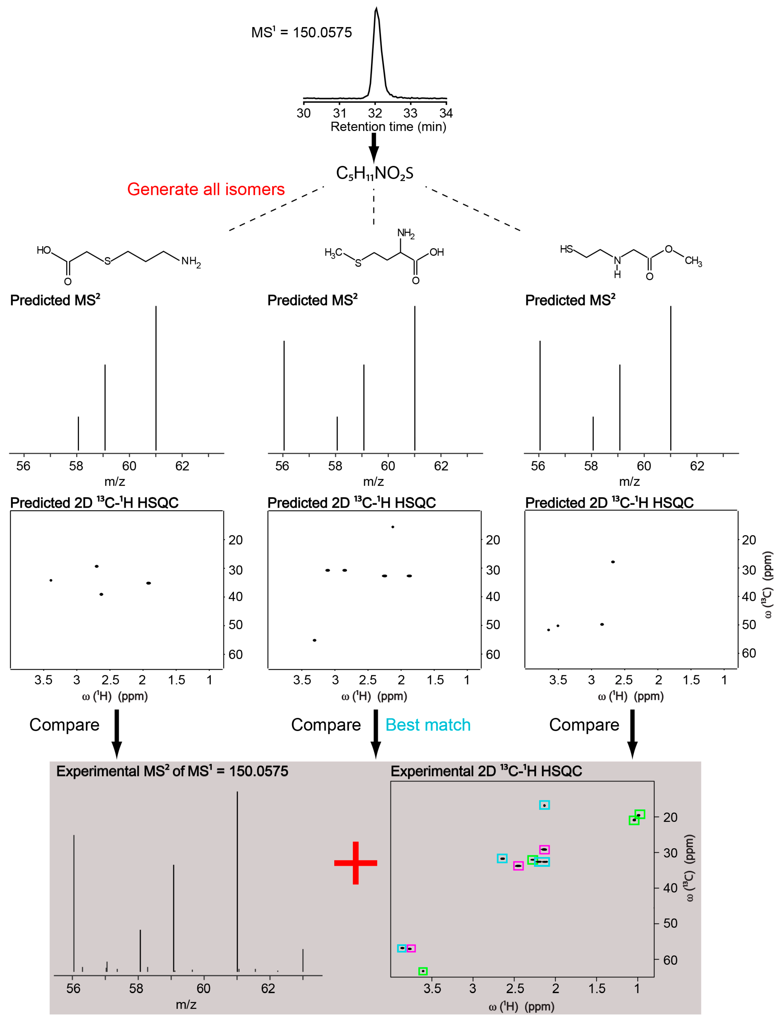 Metabolites 08 00008 g002