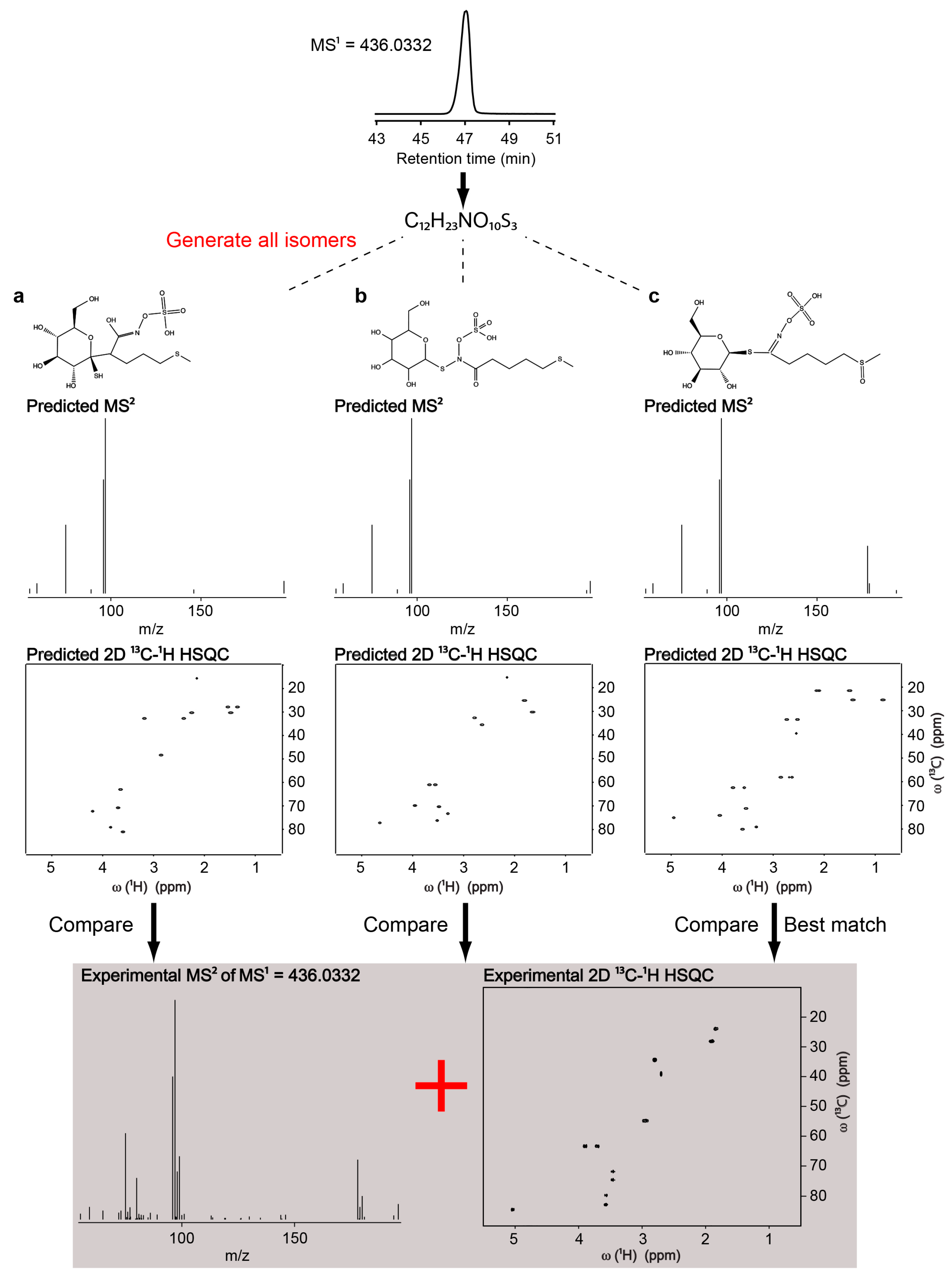 Metabolites 08 00008 g003