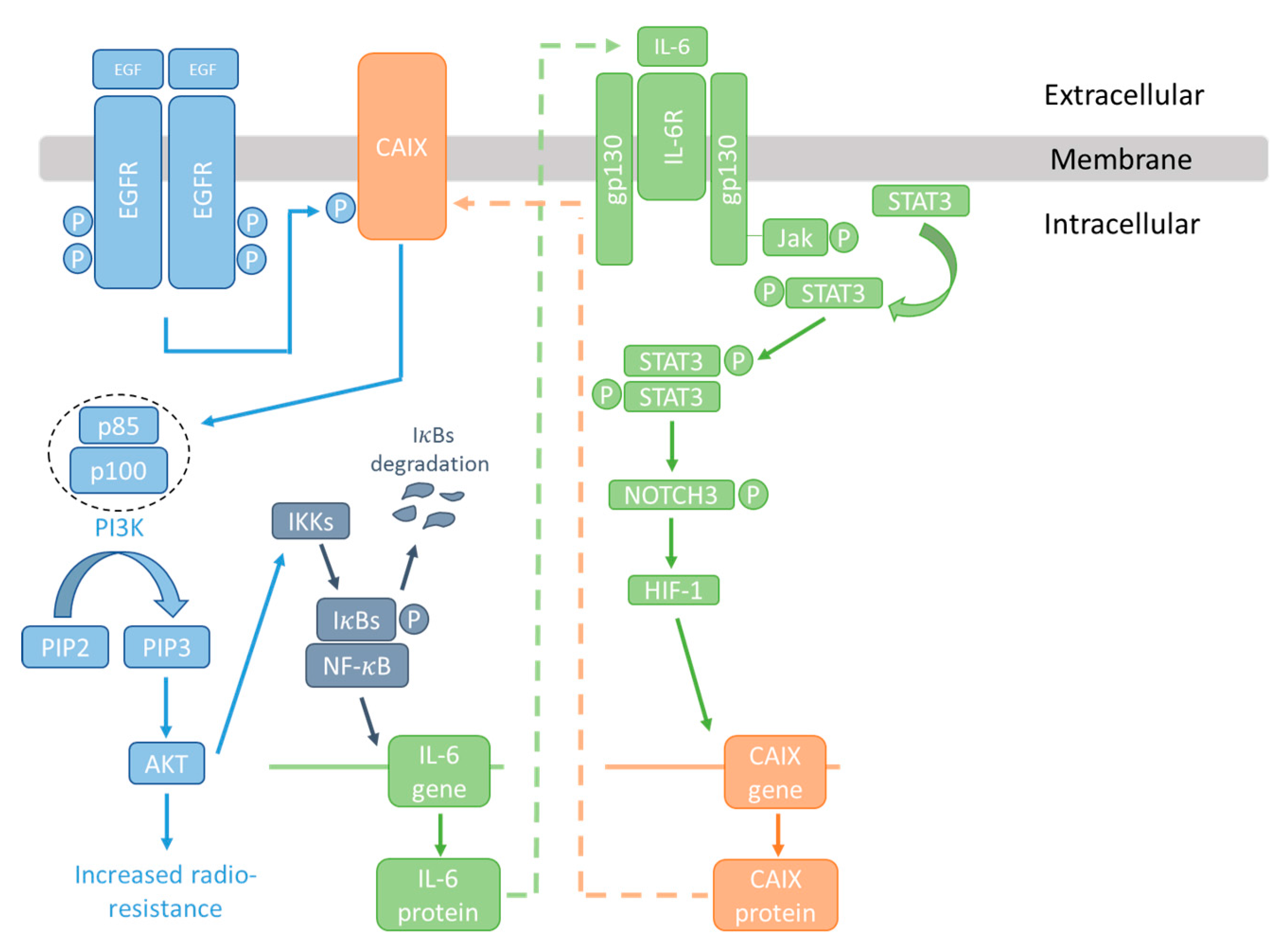 Metabolites 08 00013 g003