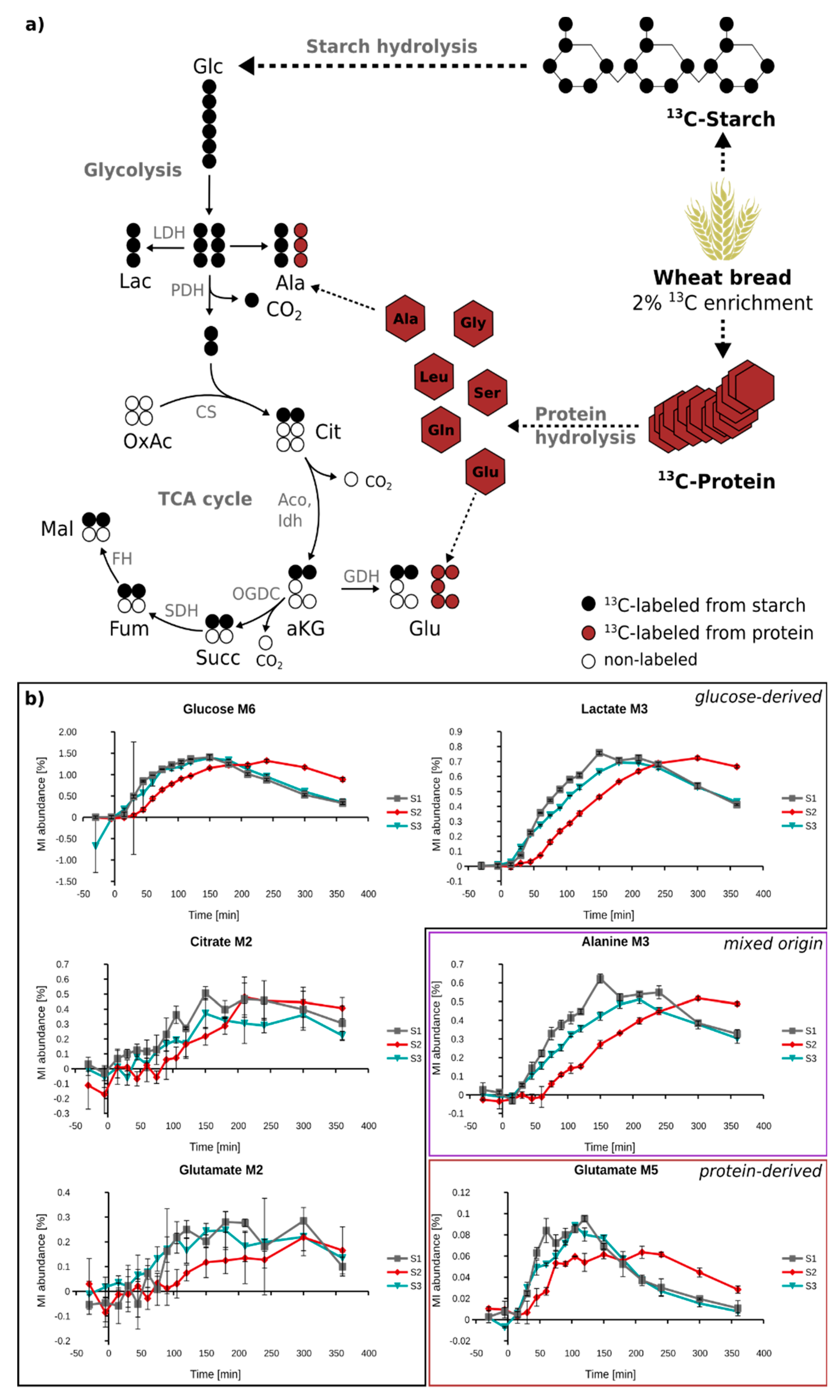 Metabolites 08 00015 g005