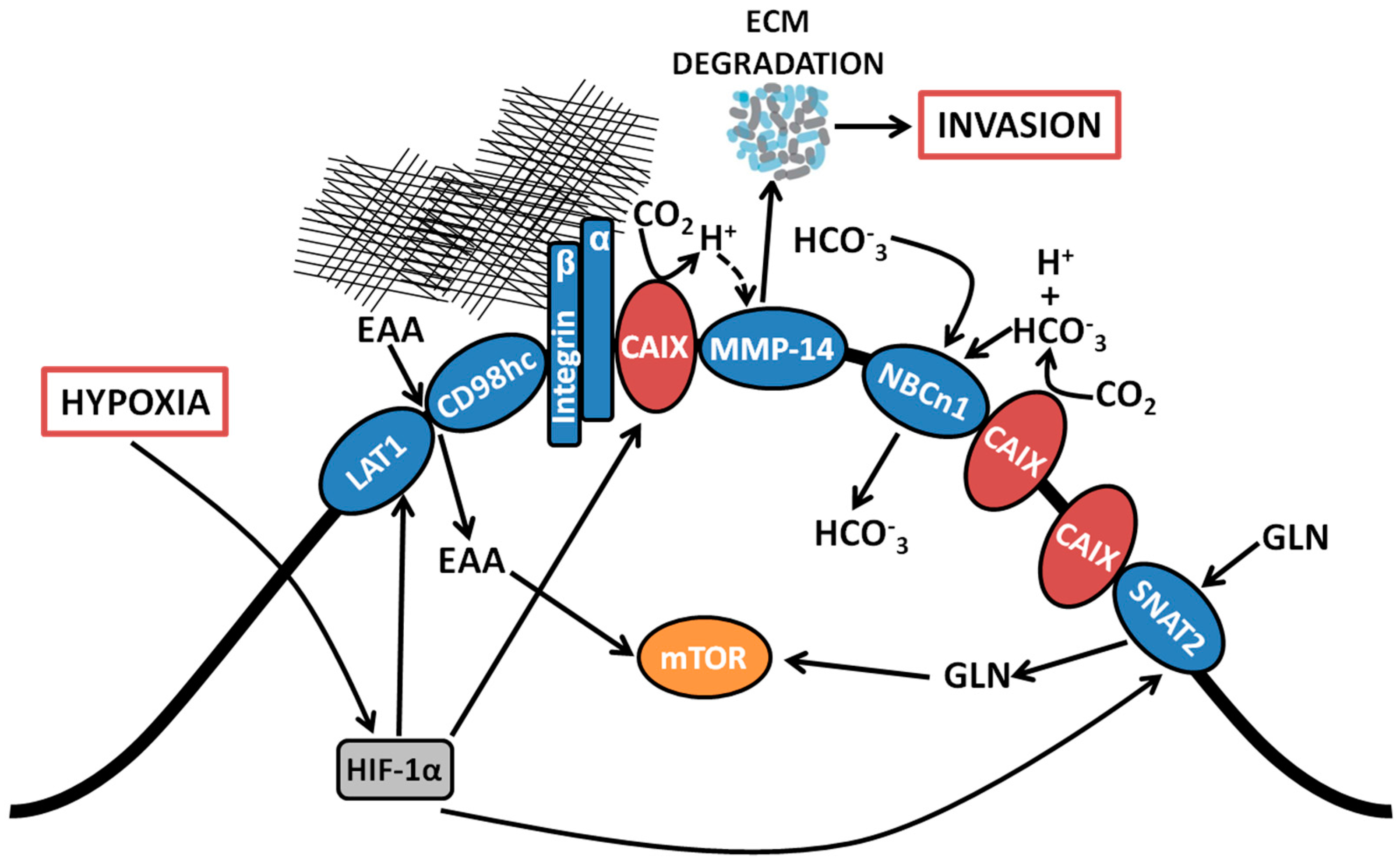 Metabolites 08 00020 g001
