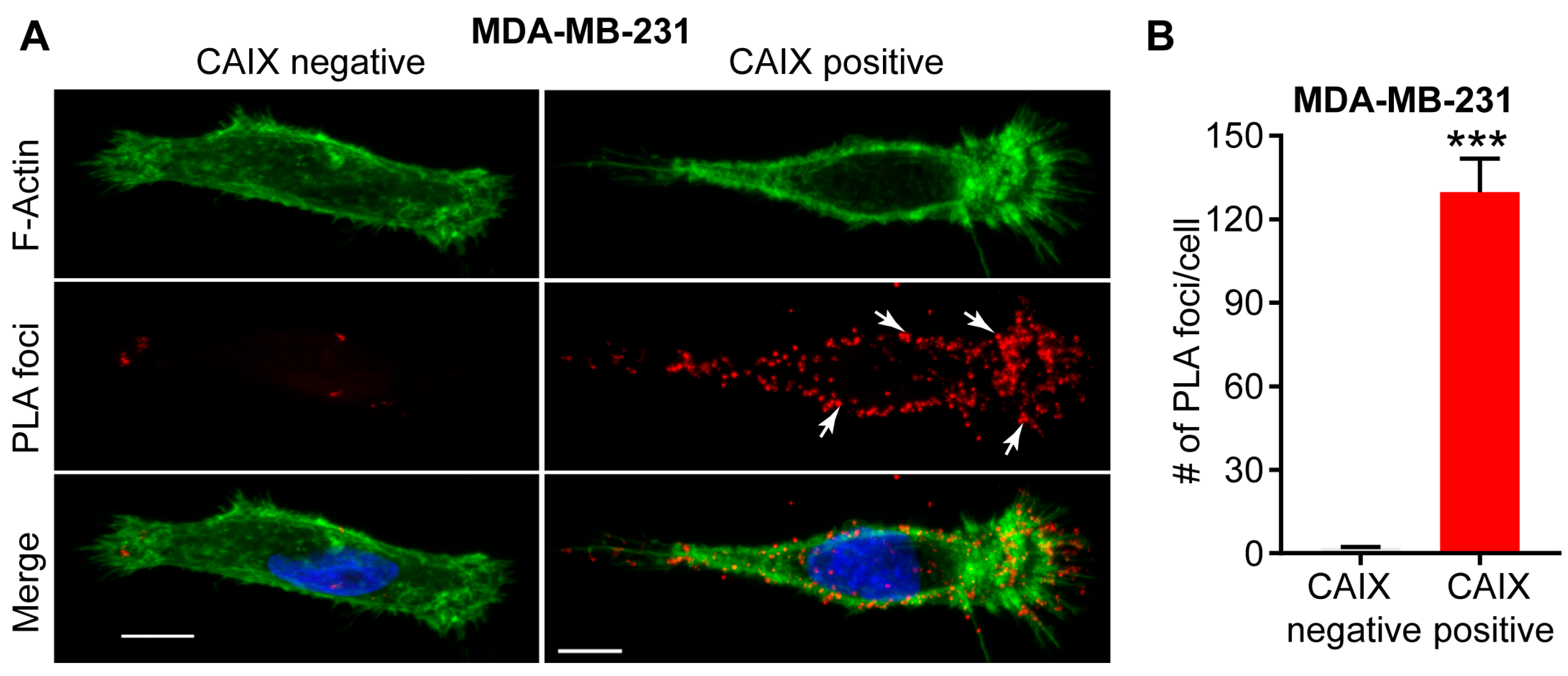 Metabolites 08 00020 g002