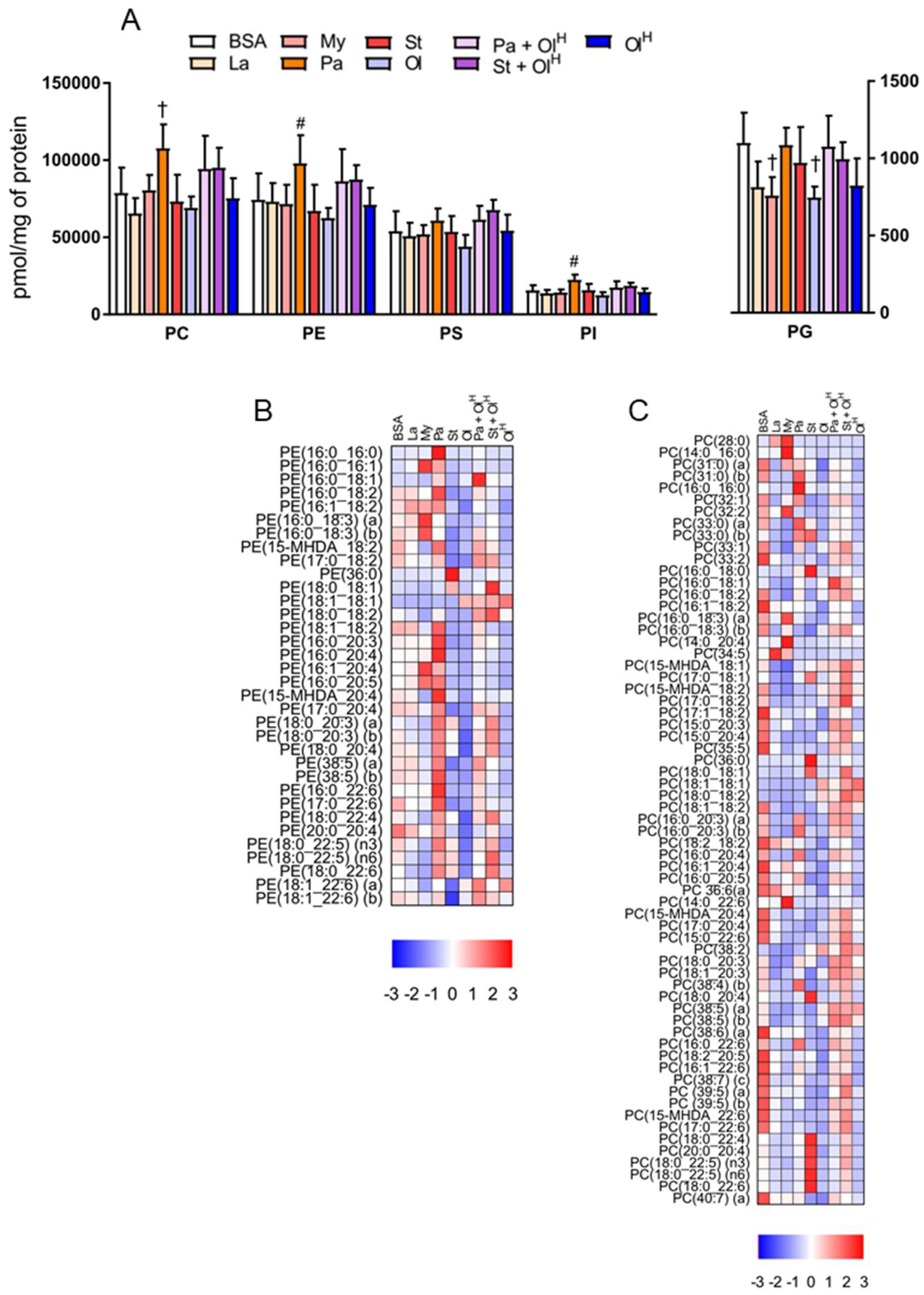 Metabolites 08 00029 g004