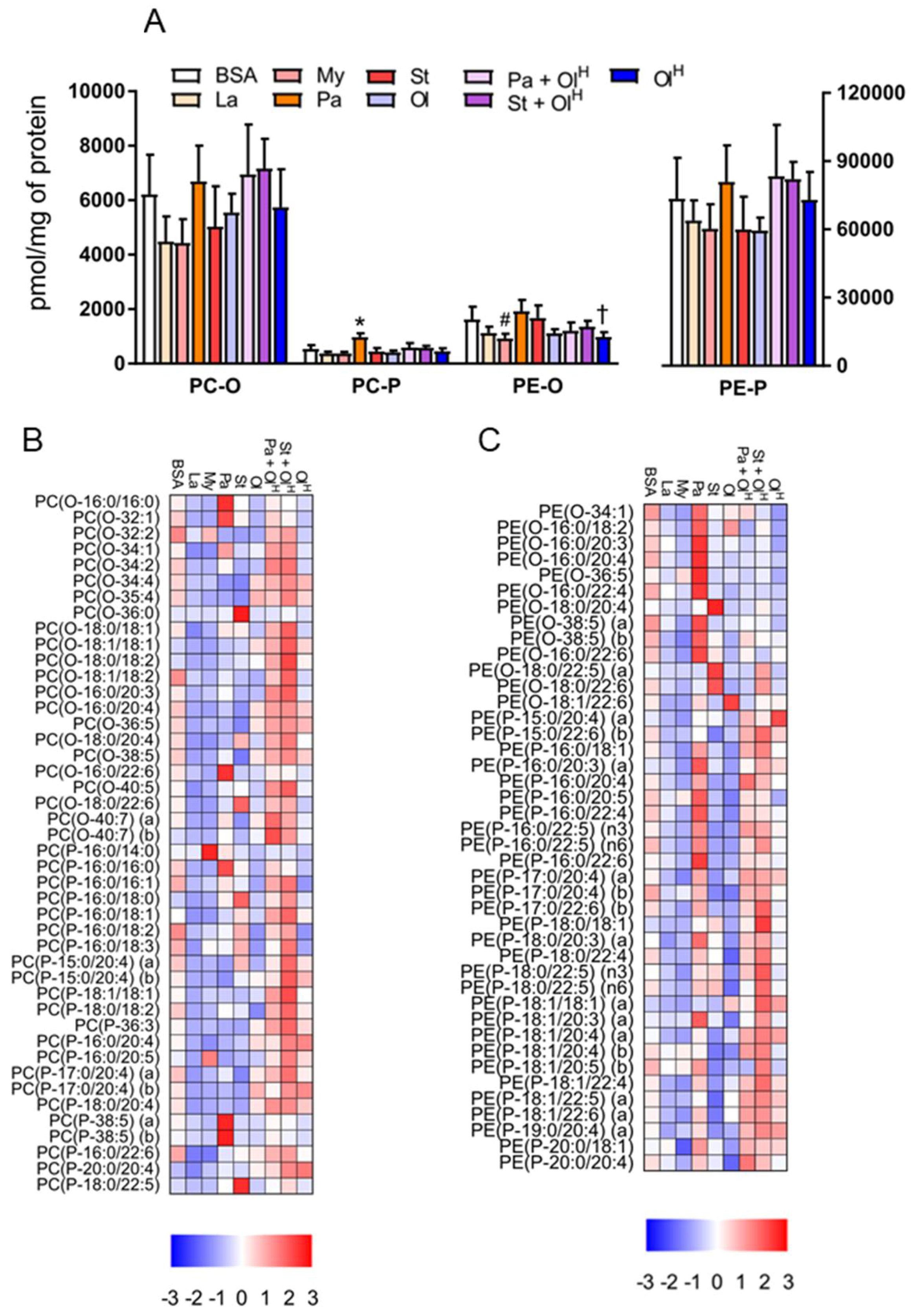 Metabolites 08 00029 g006